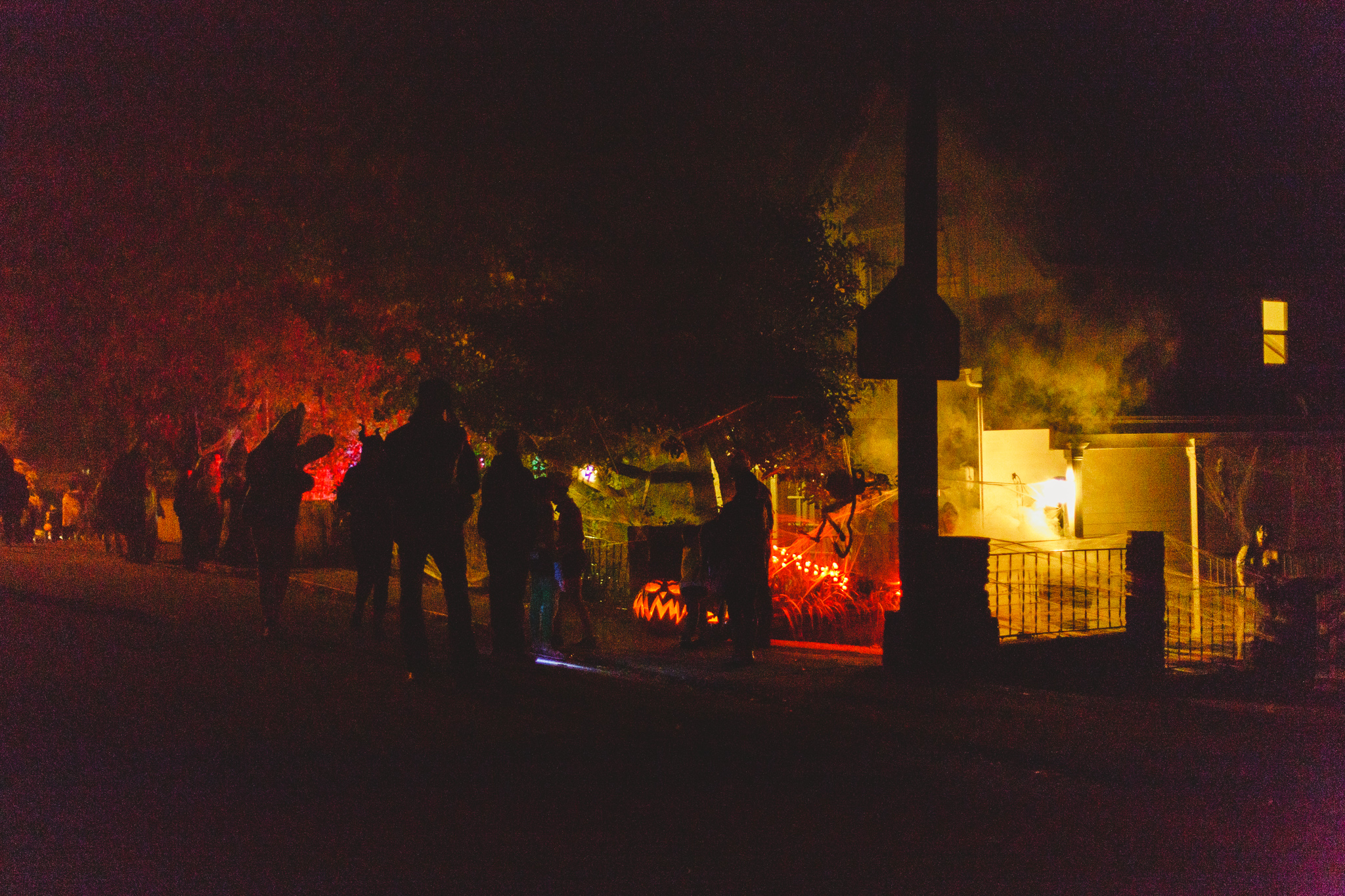 Nevada City Halloween | Lenkaland Photography