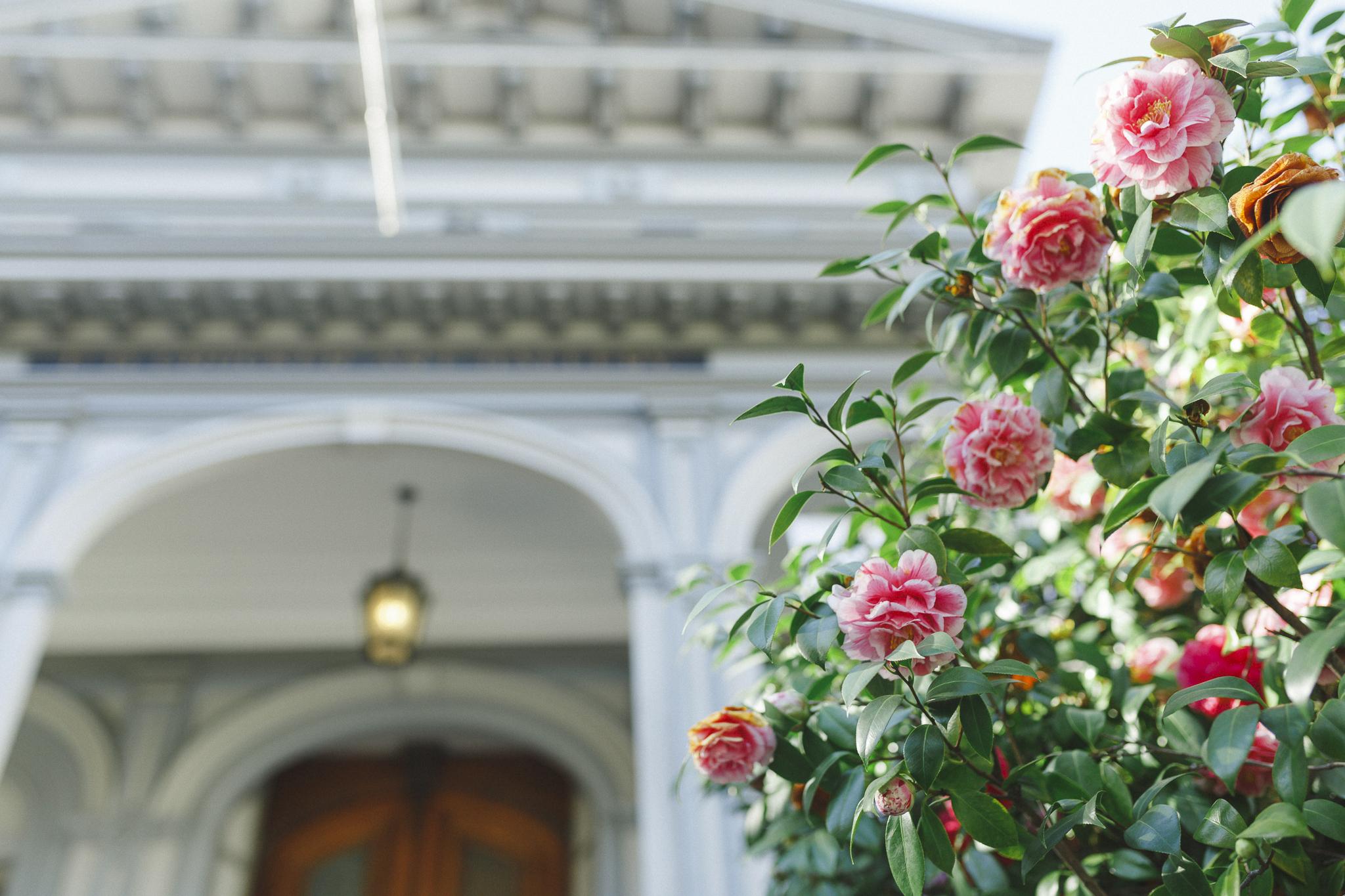 Crocker Art Museum | Lenkaland Photography