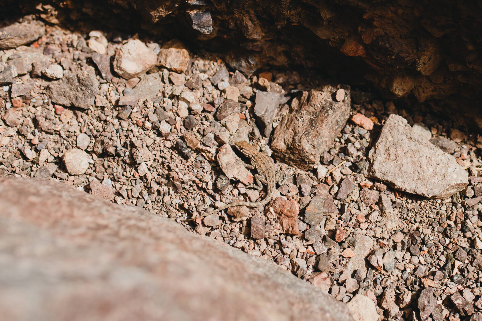 Death Valley | Lenkaland Photography