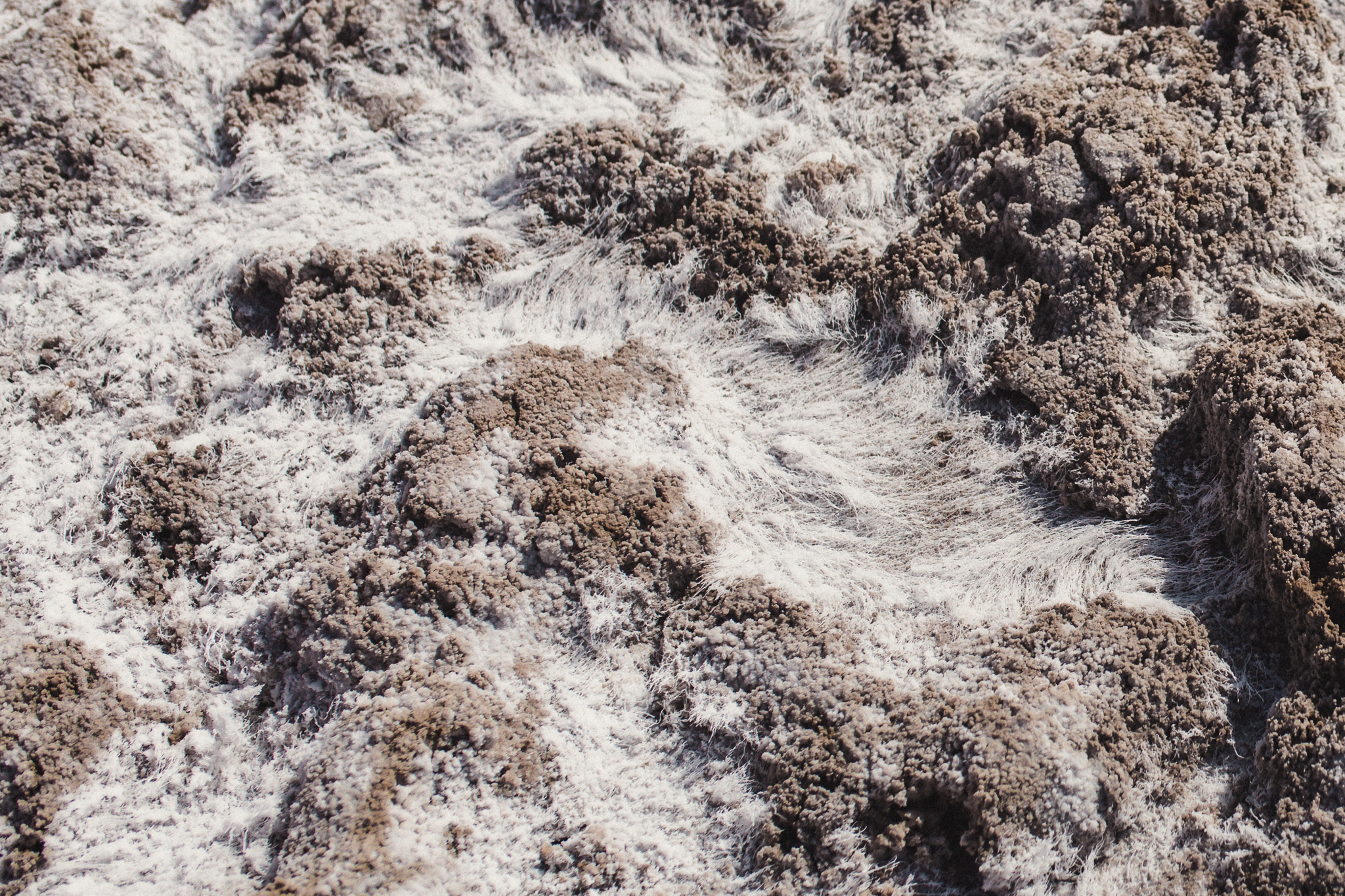 Death Valley | Lenkaland Photography