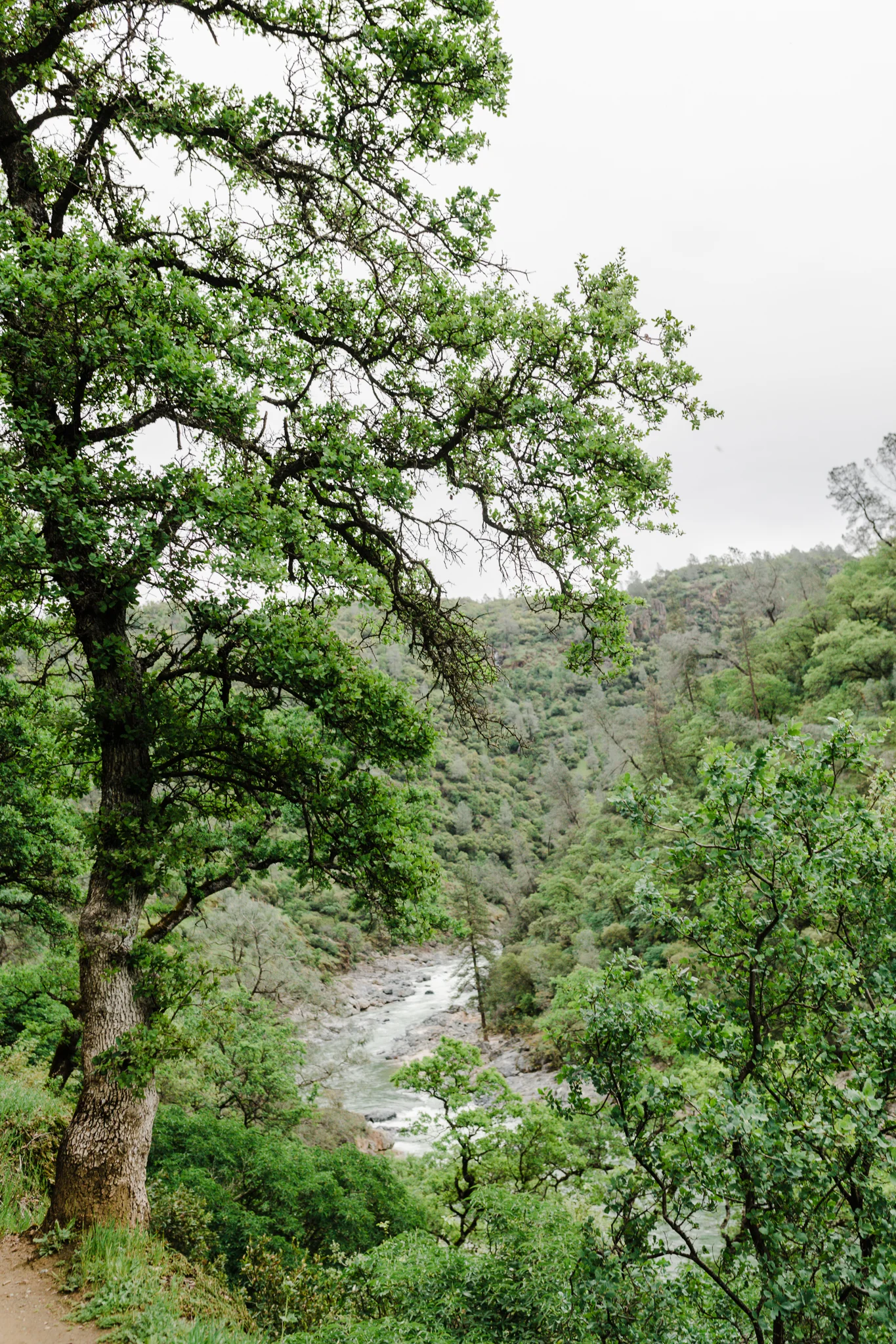 Yuba River | Lenkaland Photography