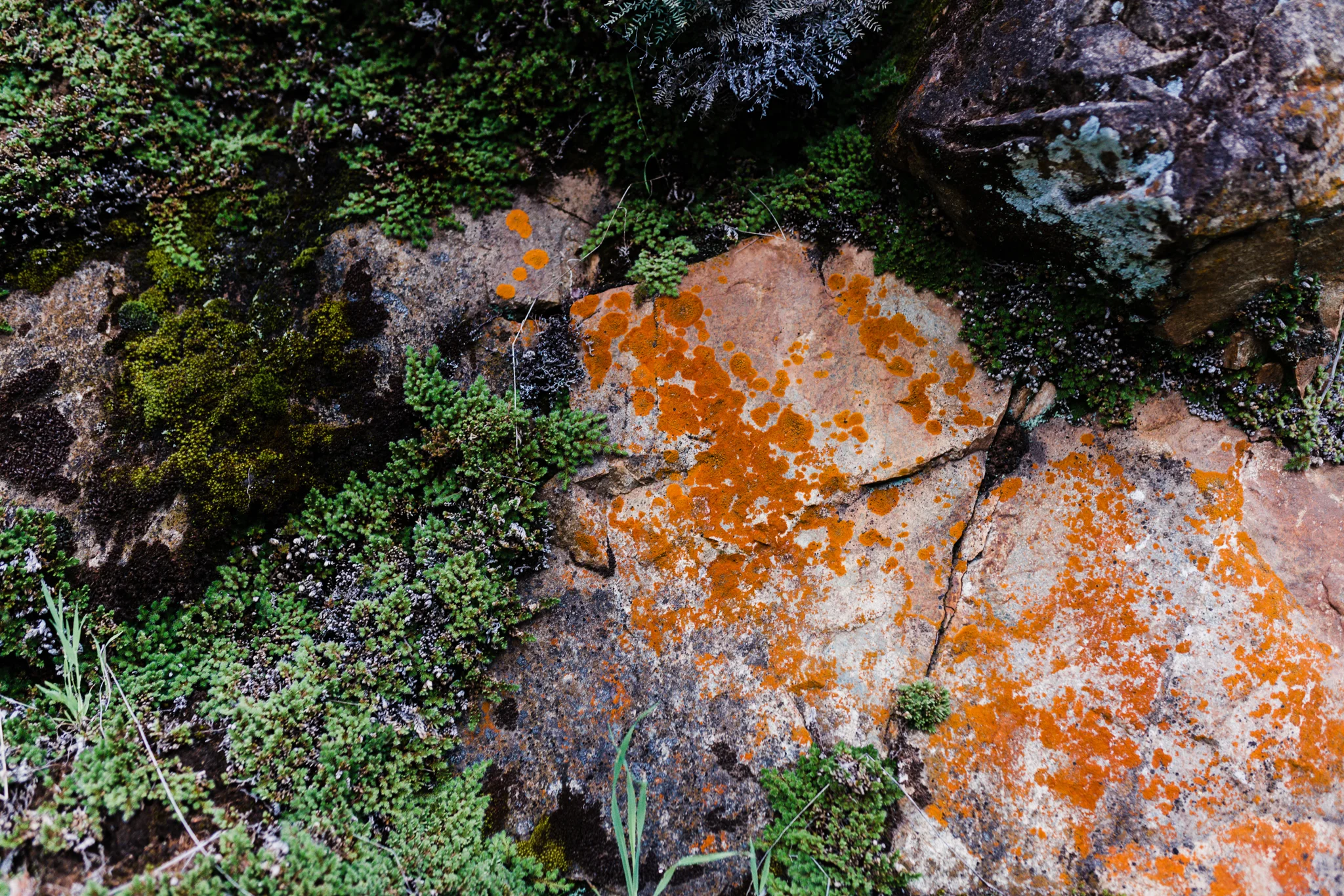 Yuba River | Lenkaland Photography