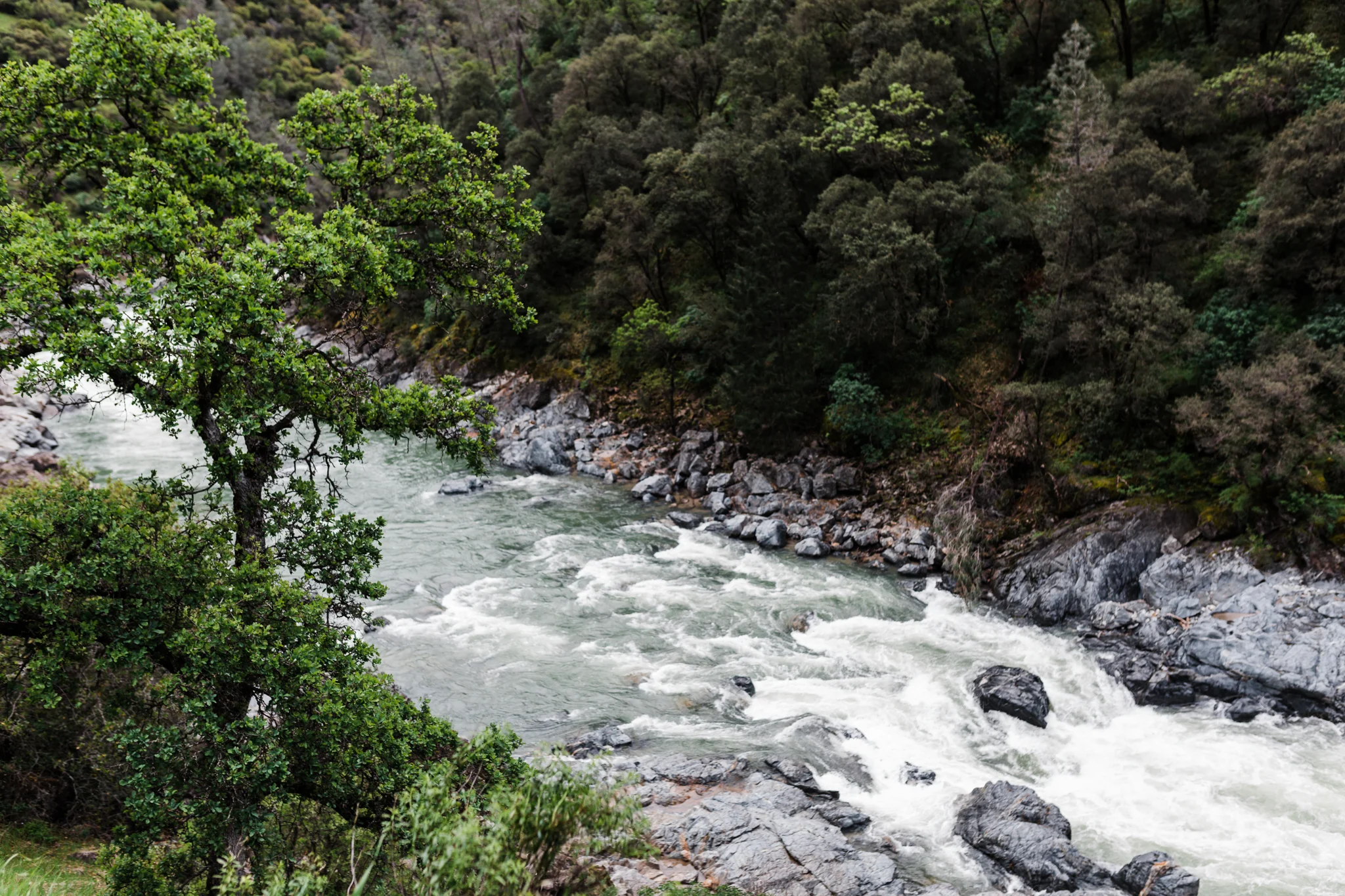 Yuba River | Lenkaland Photography
