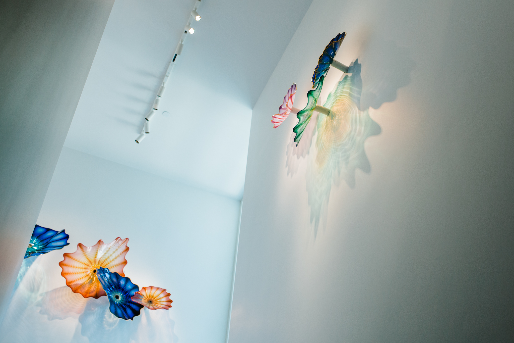 Chihuly at the Crocker Art Museum