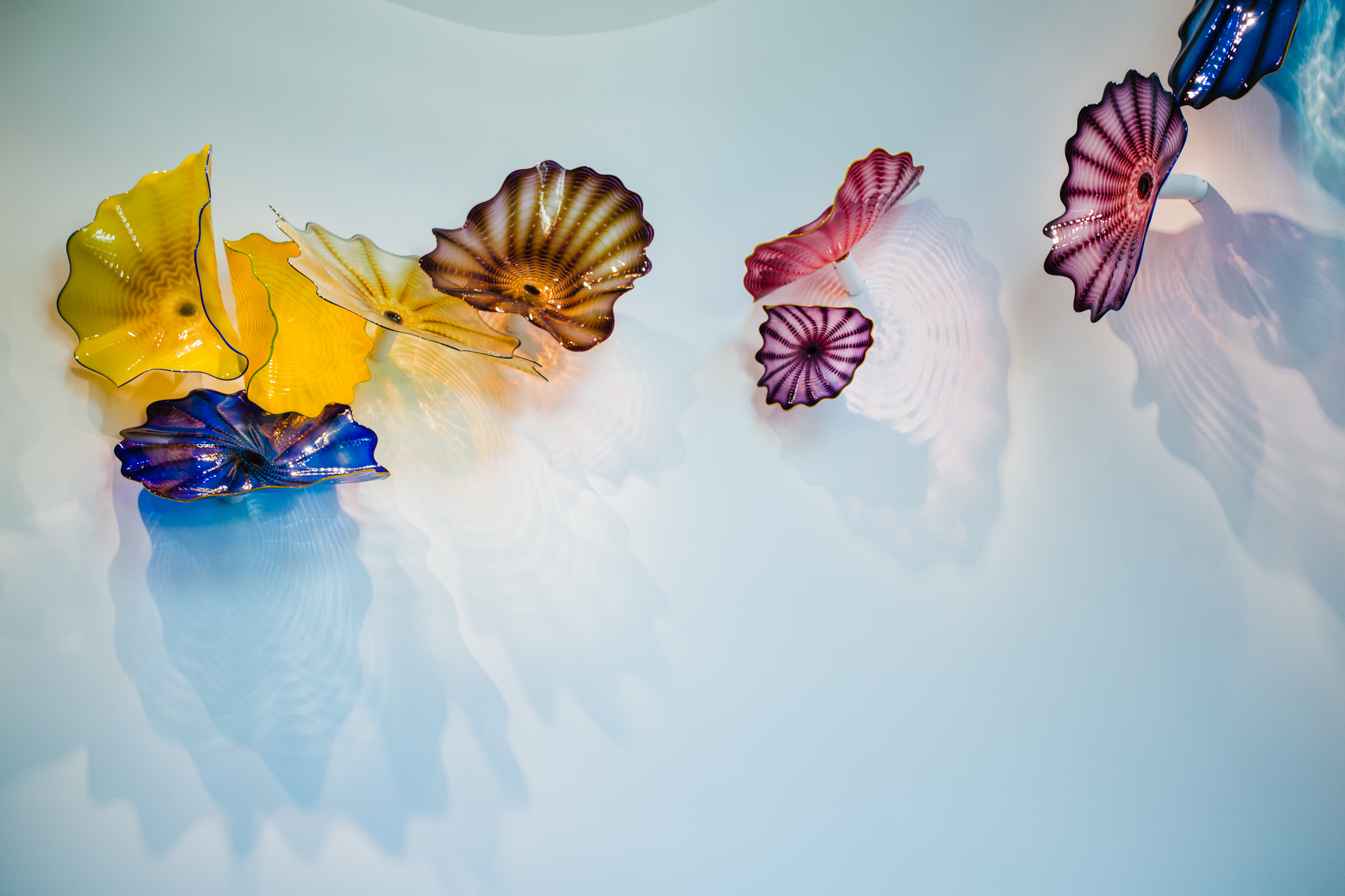 Chihuly at the Crocker Art Museum
