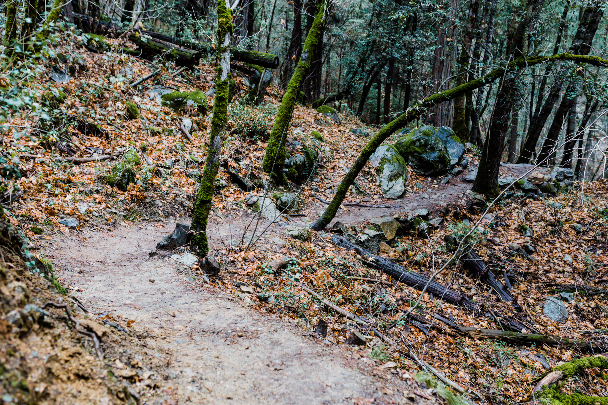 Deer Creek Tribute Trail | Lenkaland Photography