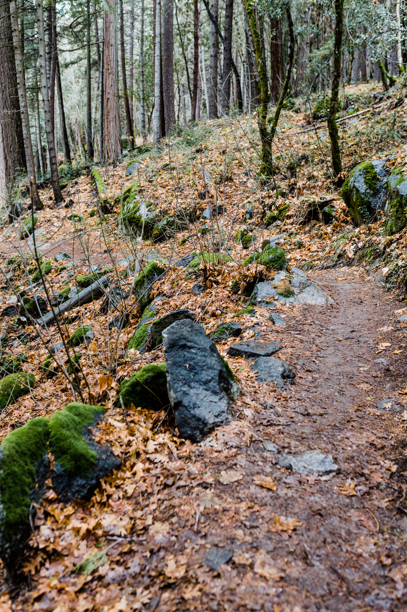 Deer Creek Tribute Trail | Lenkaland Photography