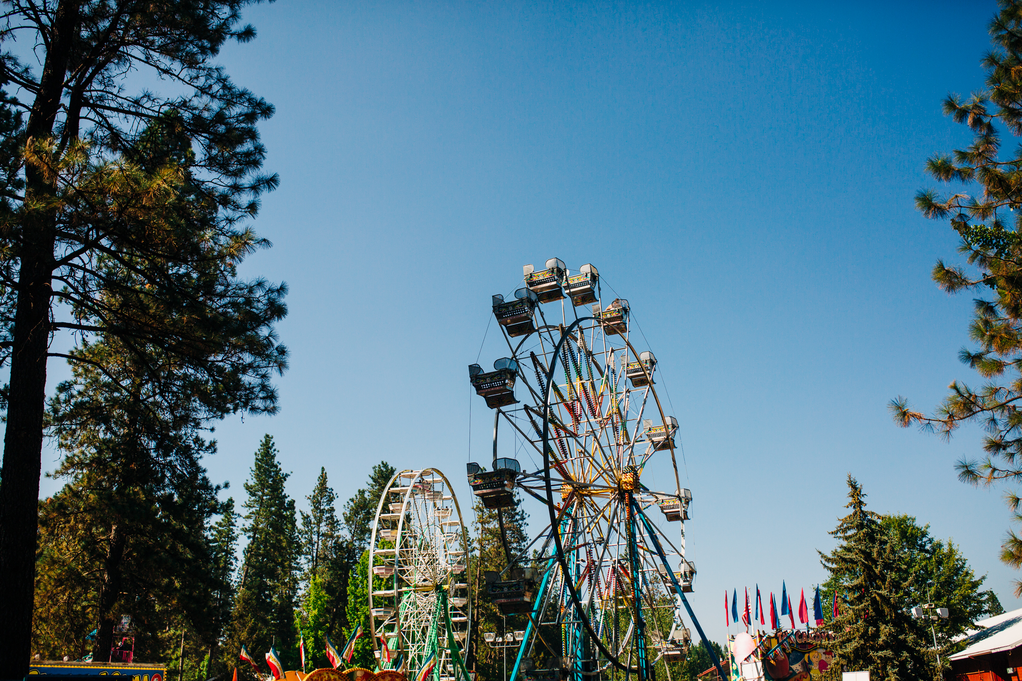 Nevada County Fair | Lenkaland Photography