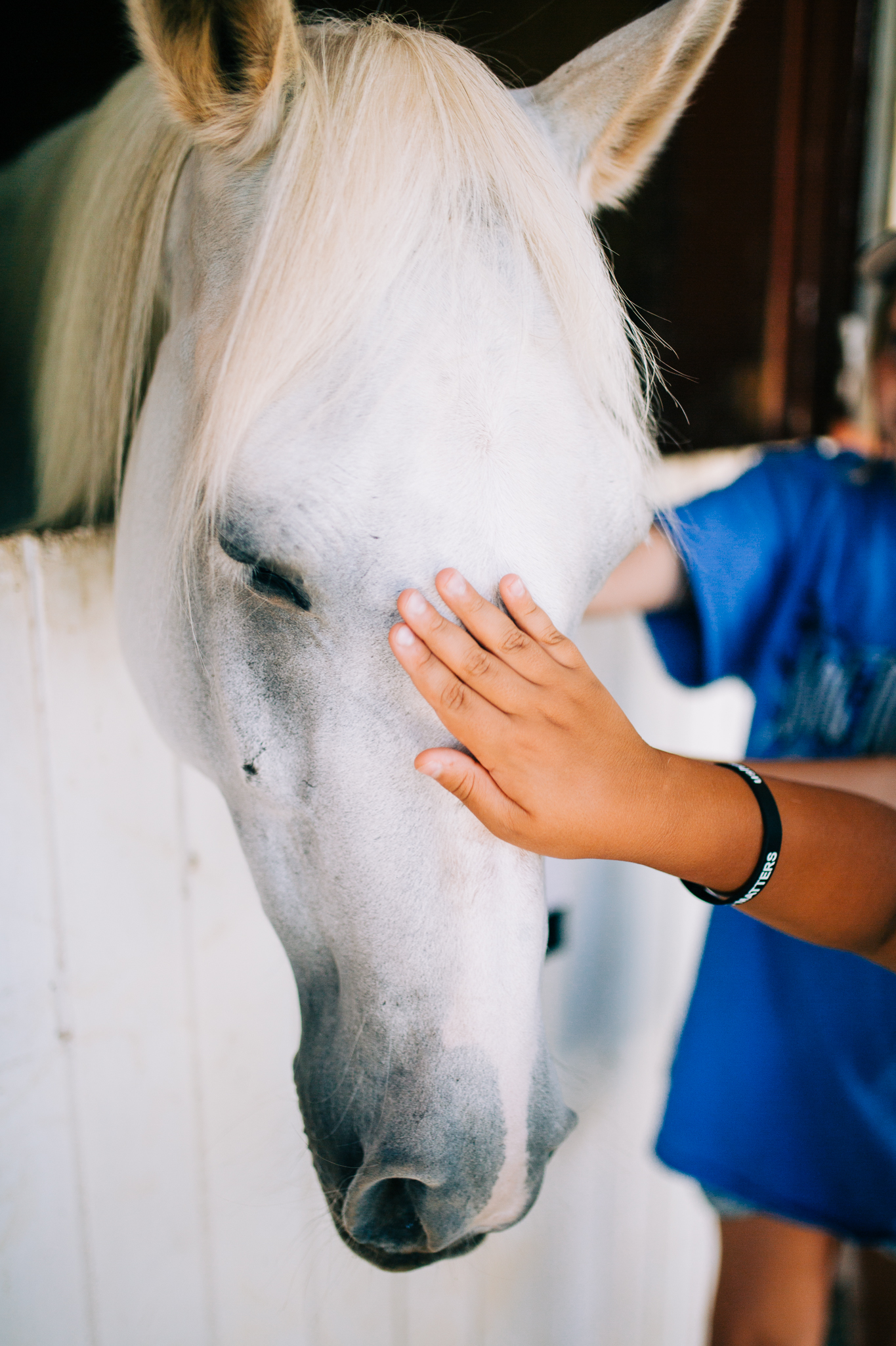 Nevada County Fair | Lenkaland Photography