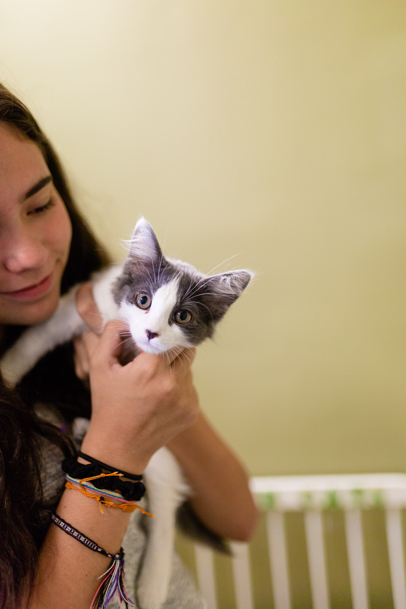 Cats at AnimalSave | Lenkaland Photography
