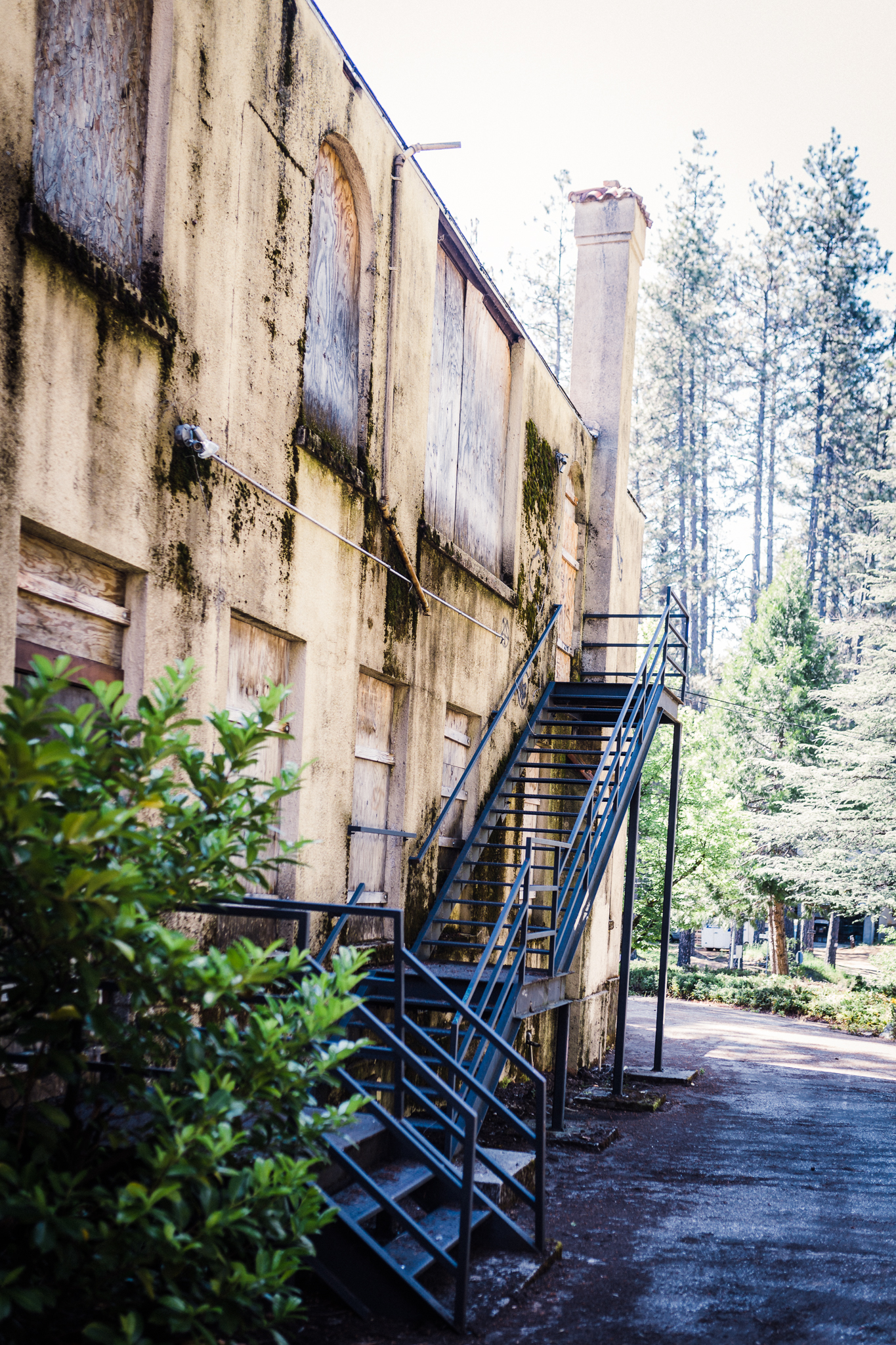 Zombies | Anika Vodicka, Jessica, and Lenkaland Photography