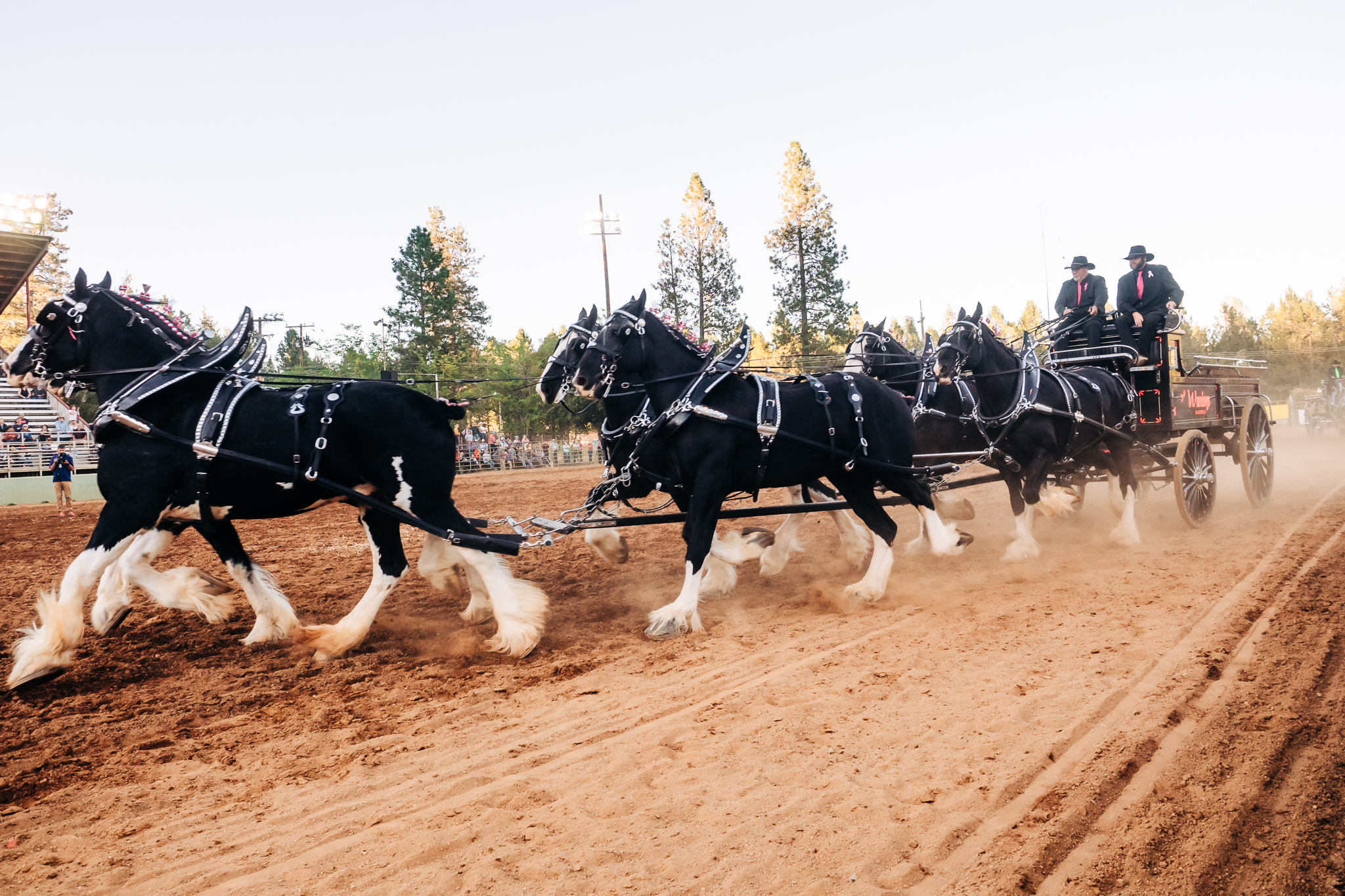 Draft Horse Classic at the Nevada County Fairgrounds | Lenkaland