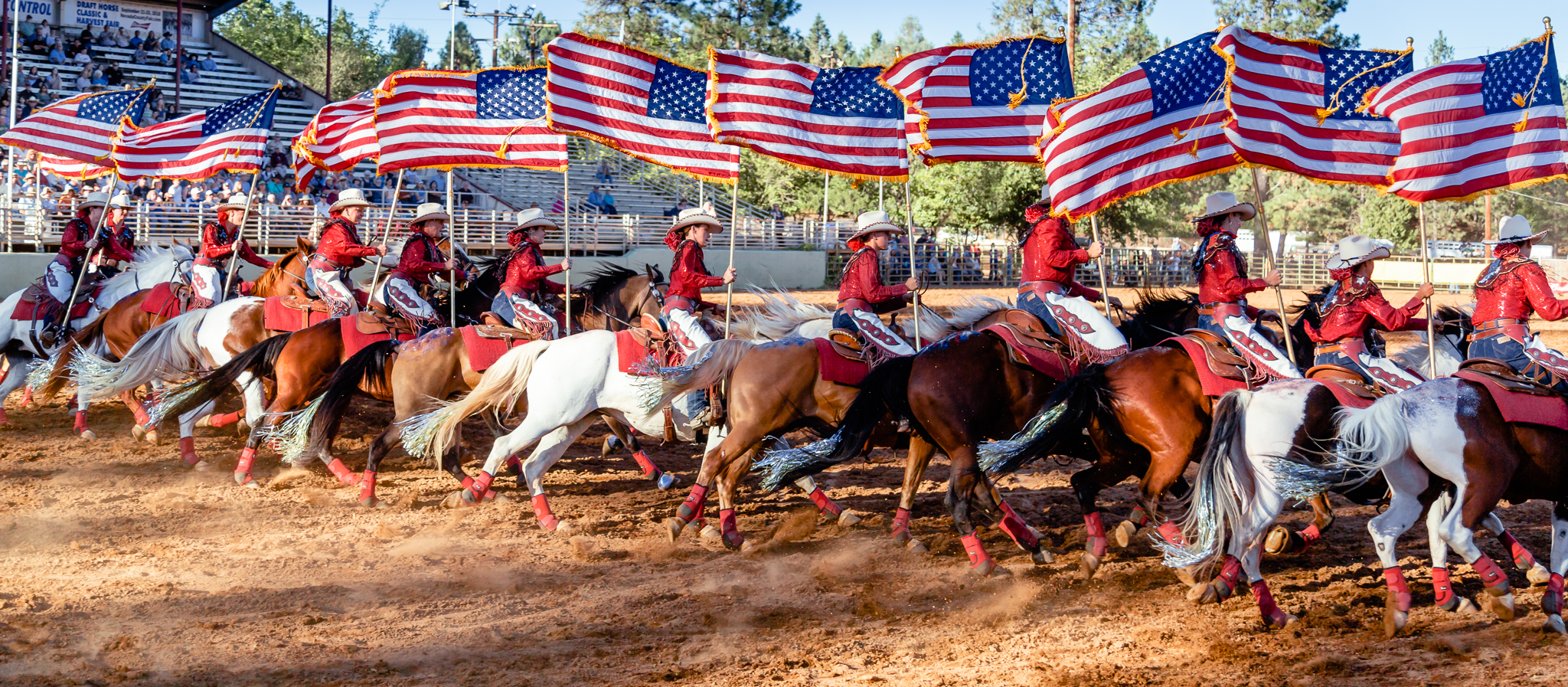 California Cowgirls at the Draft Horse Classic at the Nevada Cou