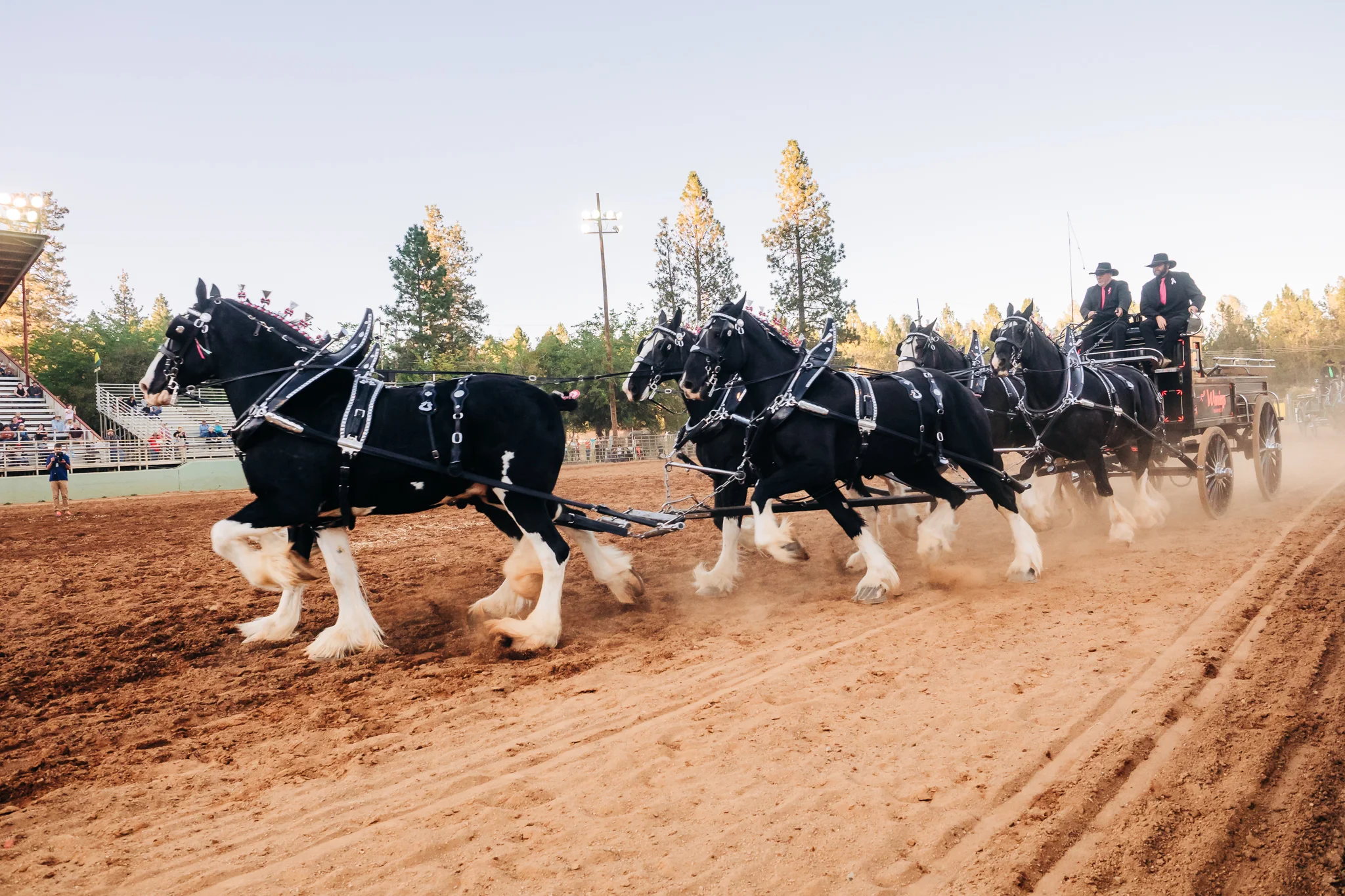 Draft Horse Classic at the Nevada County Fairgrounds | Lenkaland