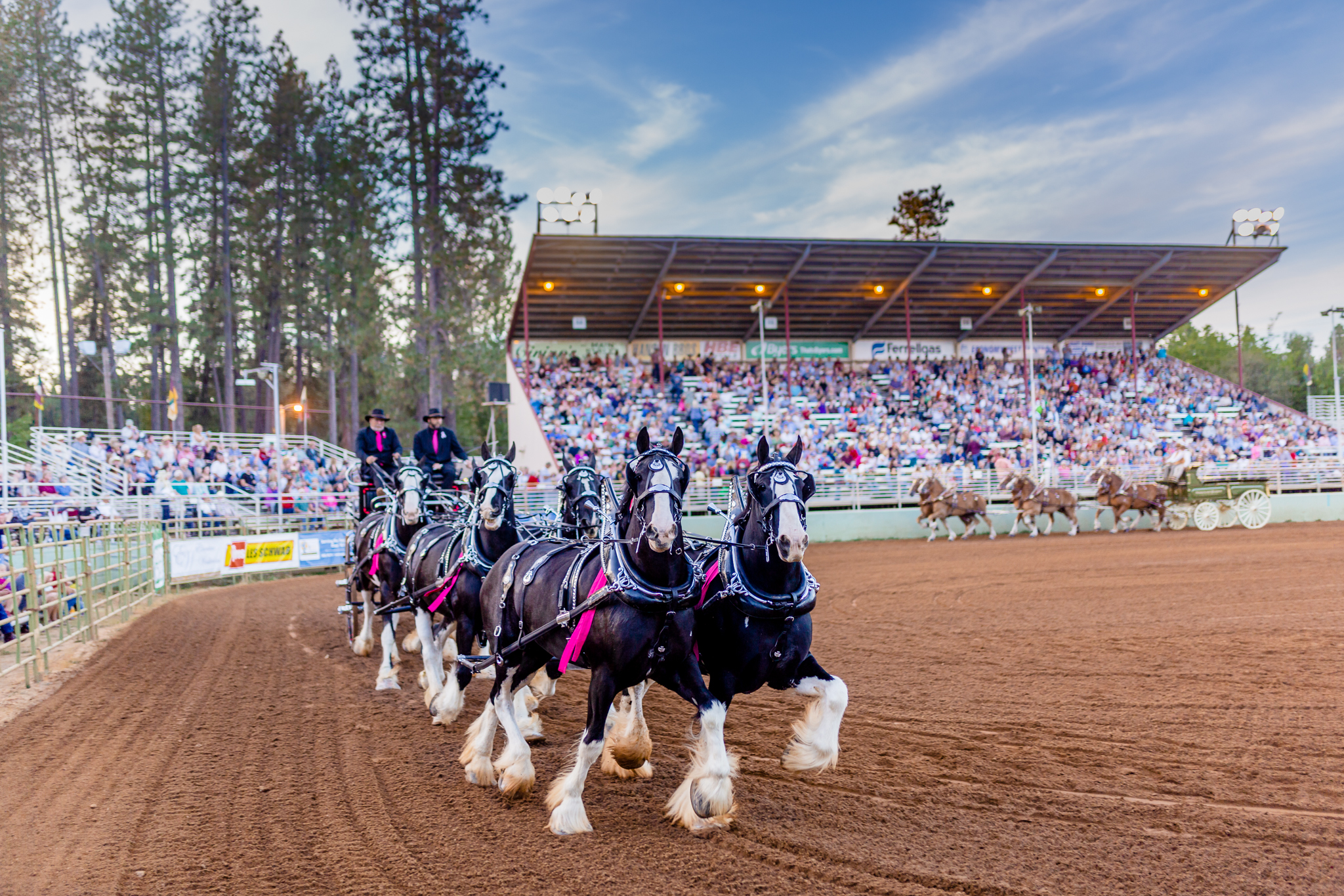 Draft Horse Classic at the Nevada County Fairgrounds | Lenkaland