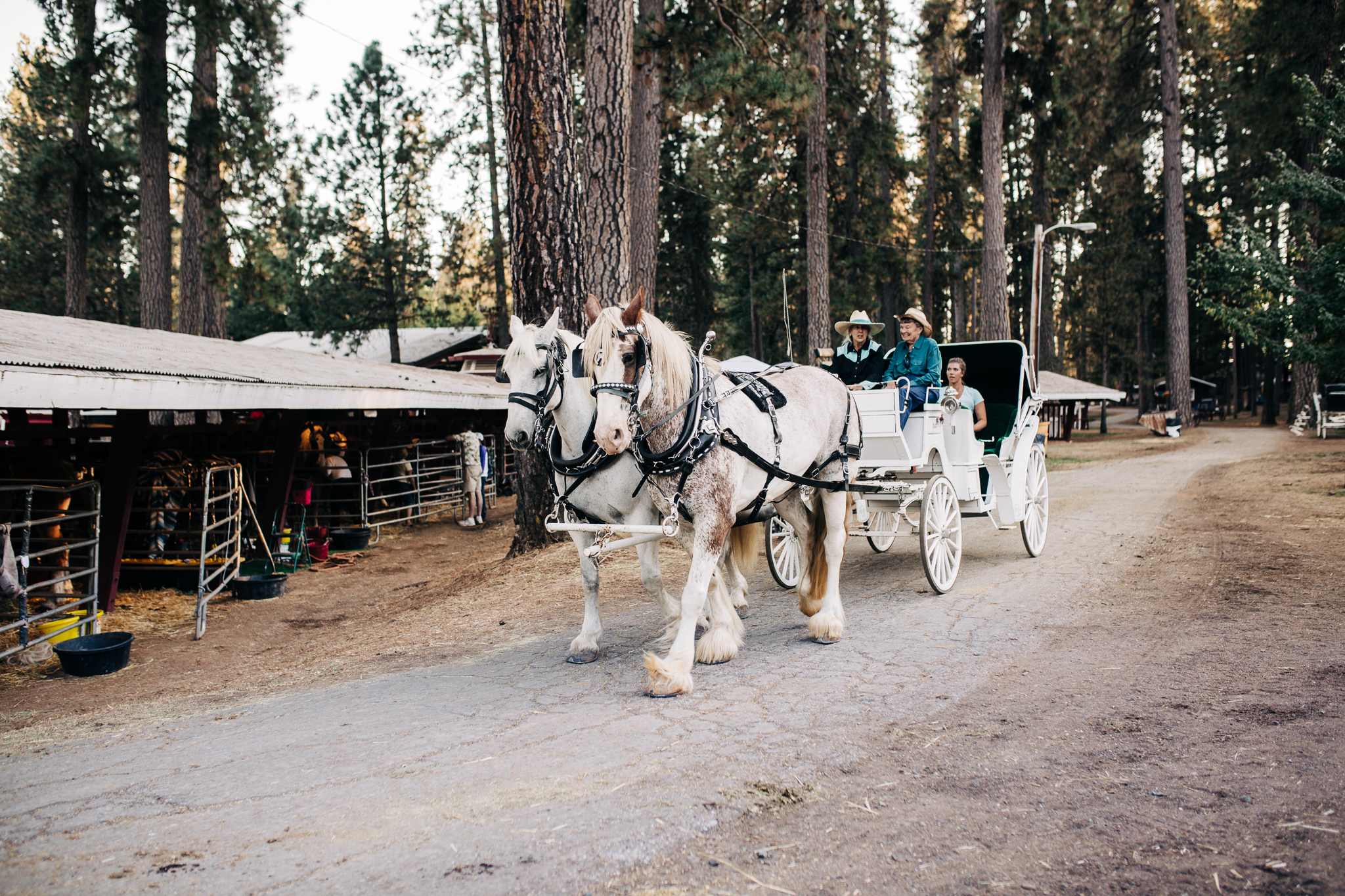 Draft Horse Classic at the Nevada County Fairgrounds | Lenkaland