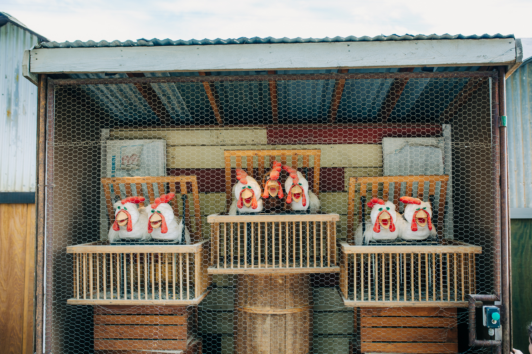 Lenkaland Photography at Bishop's Pumpkin Farm