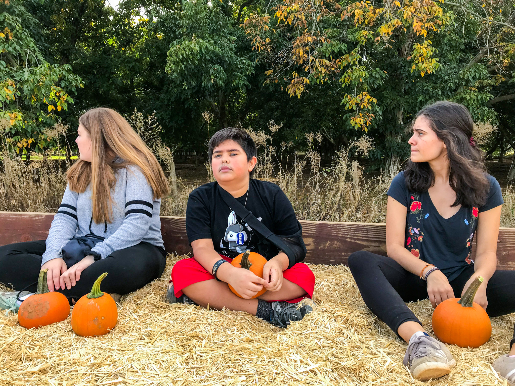 Lenkaland Photography at Bishop's Pumpkin Farm