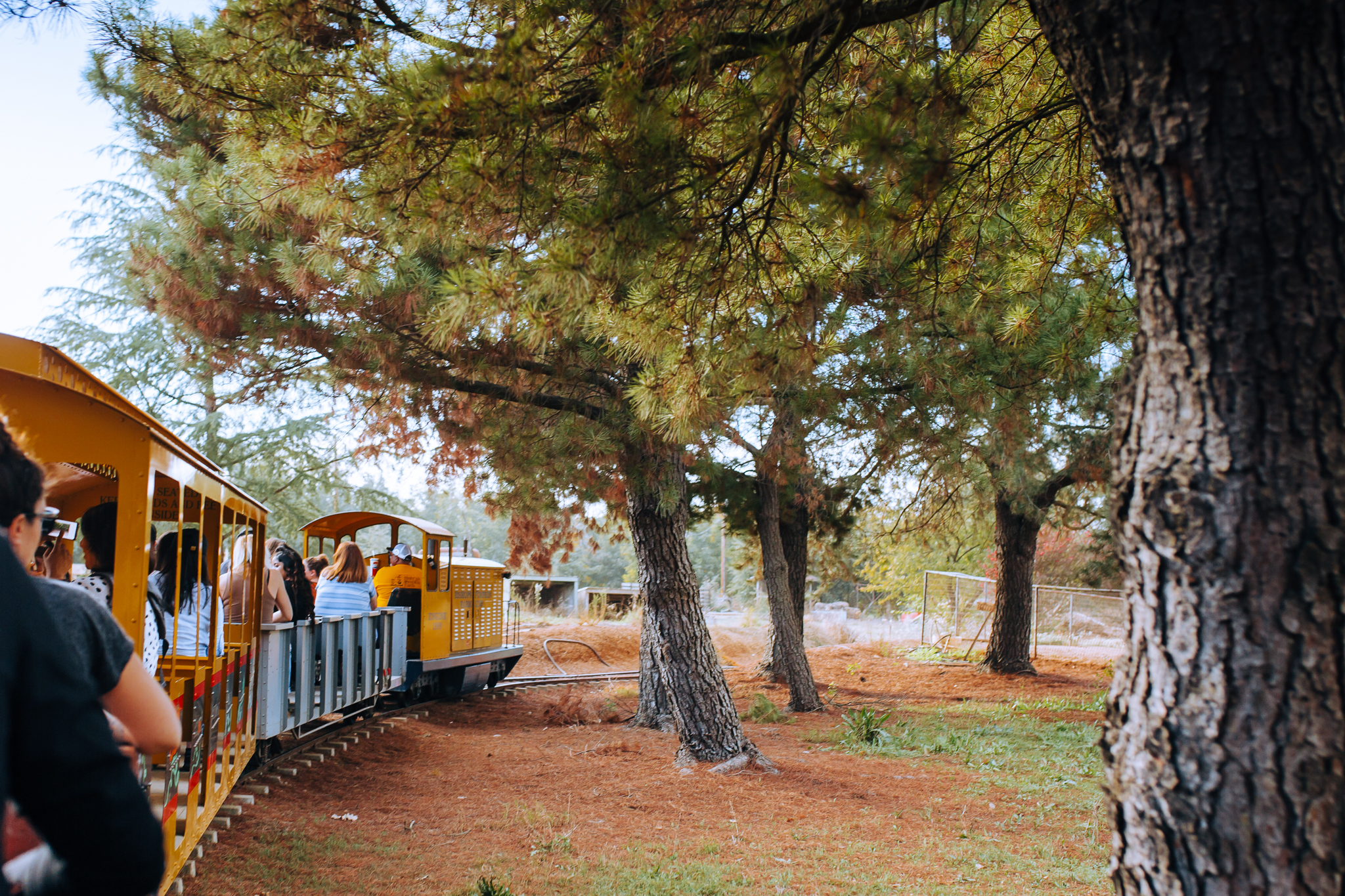 Lenkaland Photography at Bishop's Pumpkin Farm
