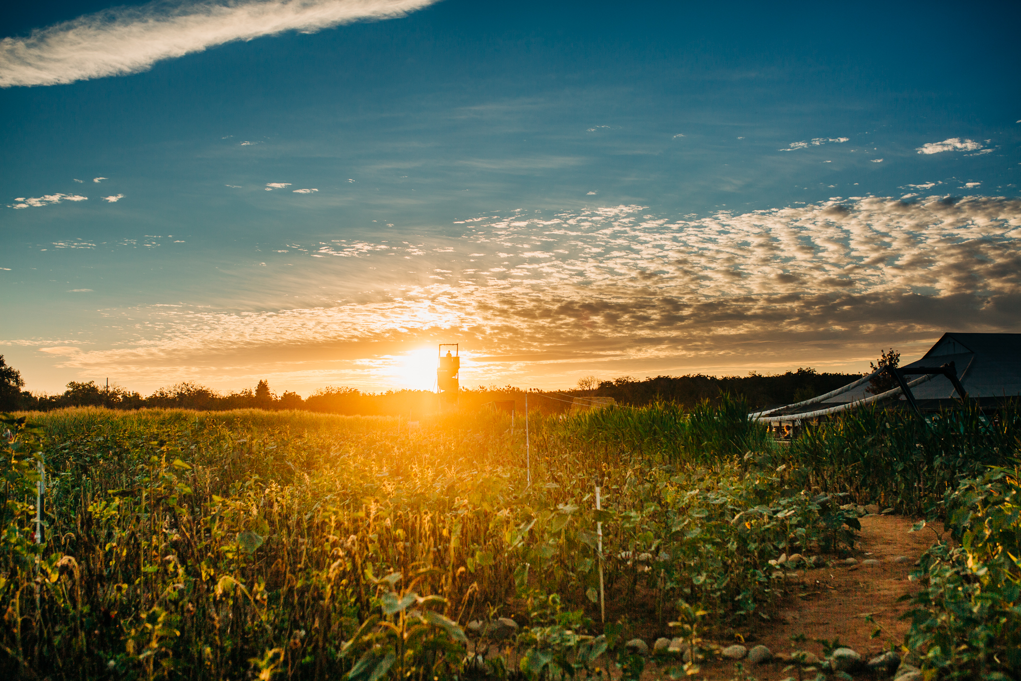 Lenkaland Photography at Bishop's Pumpkin Farm