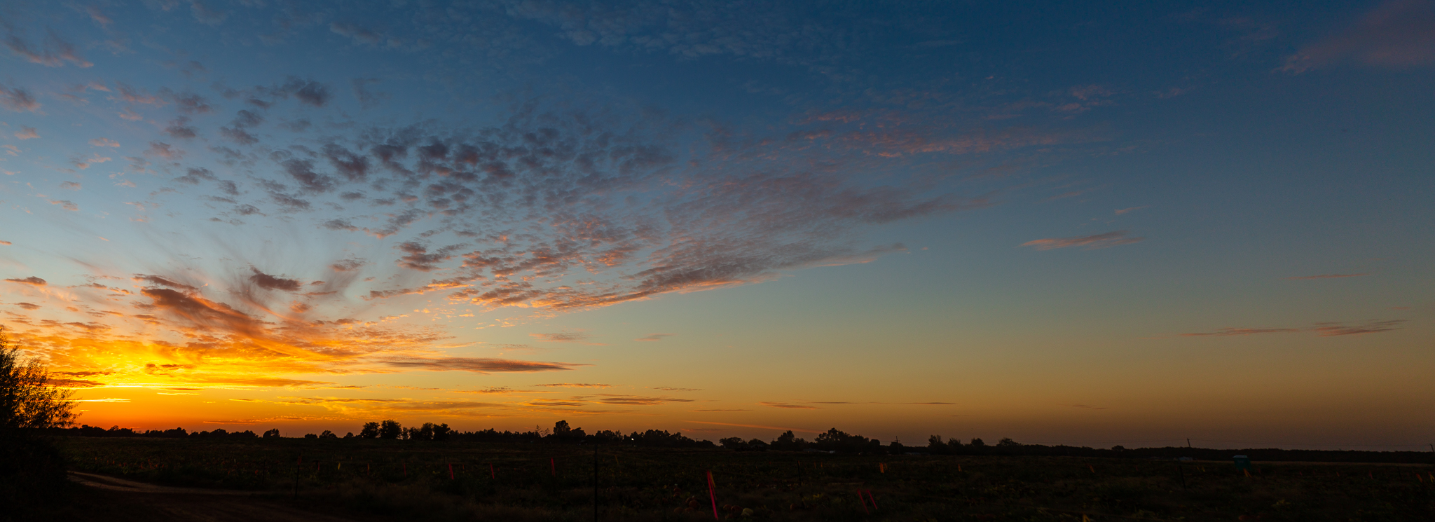 Lenkaland Photography at Bishop's Pumpkin Farm