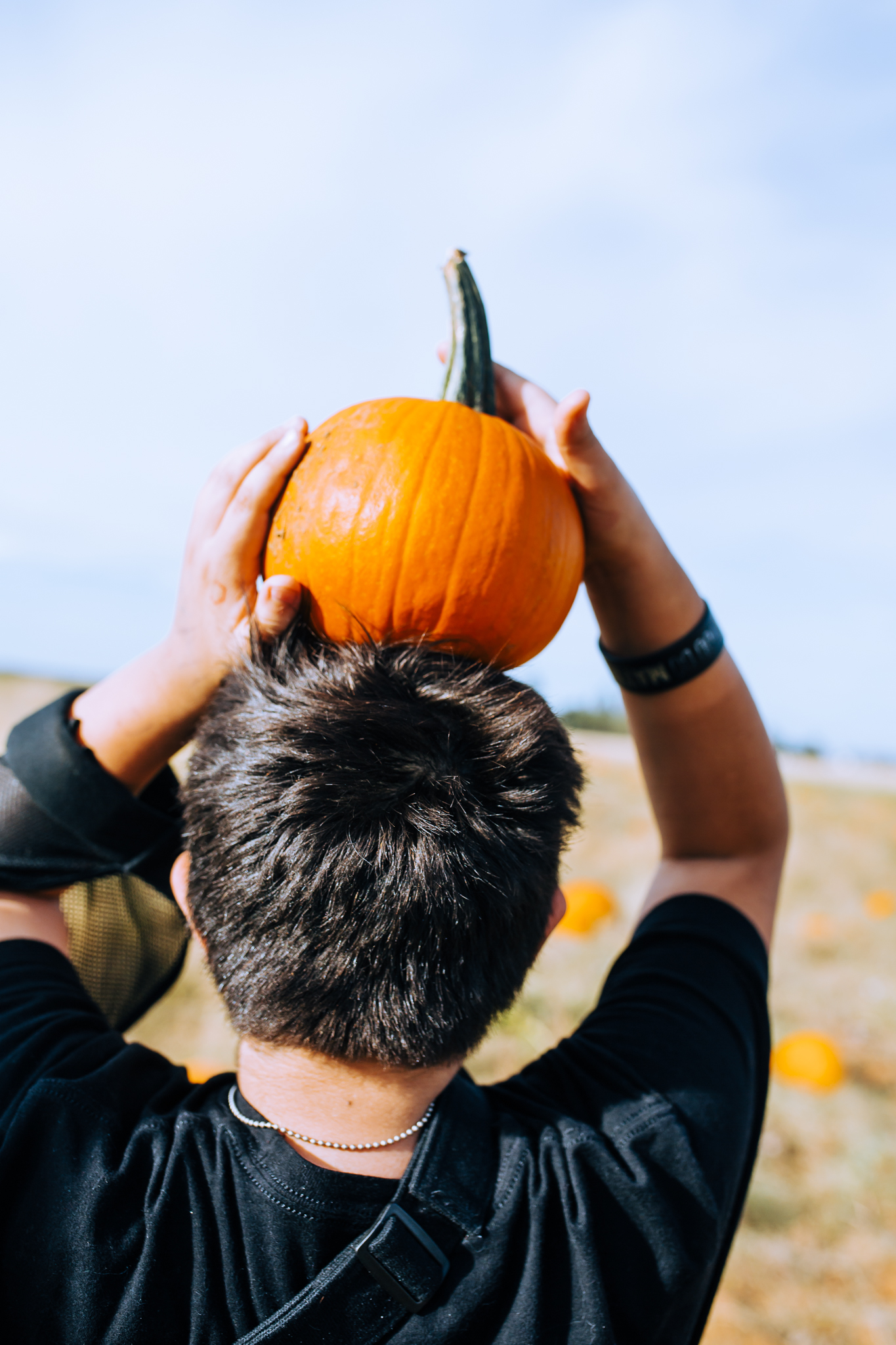 Lenkaland Photography at Bishop's Pumpkin Farm