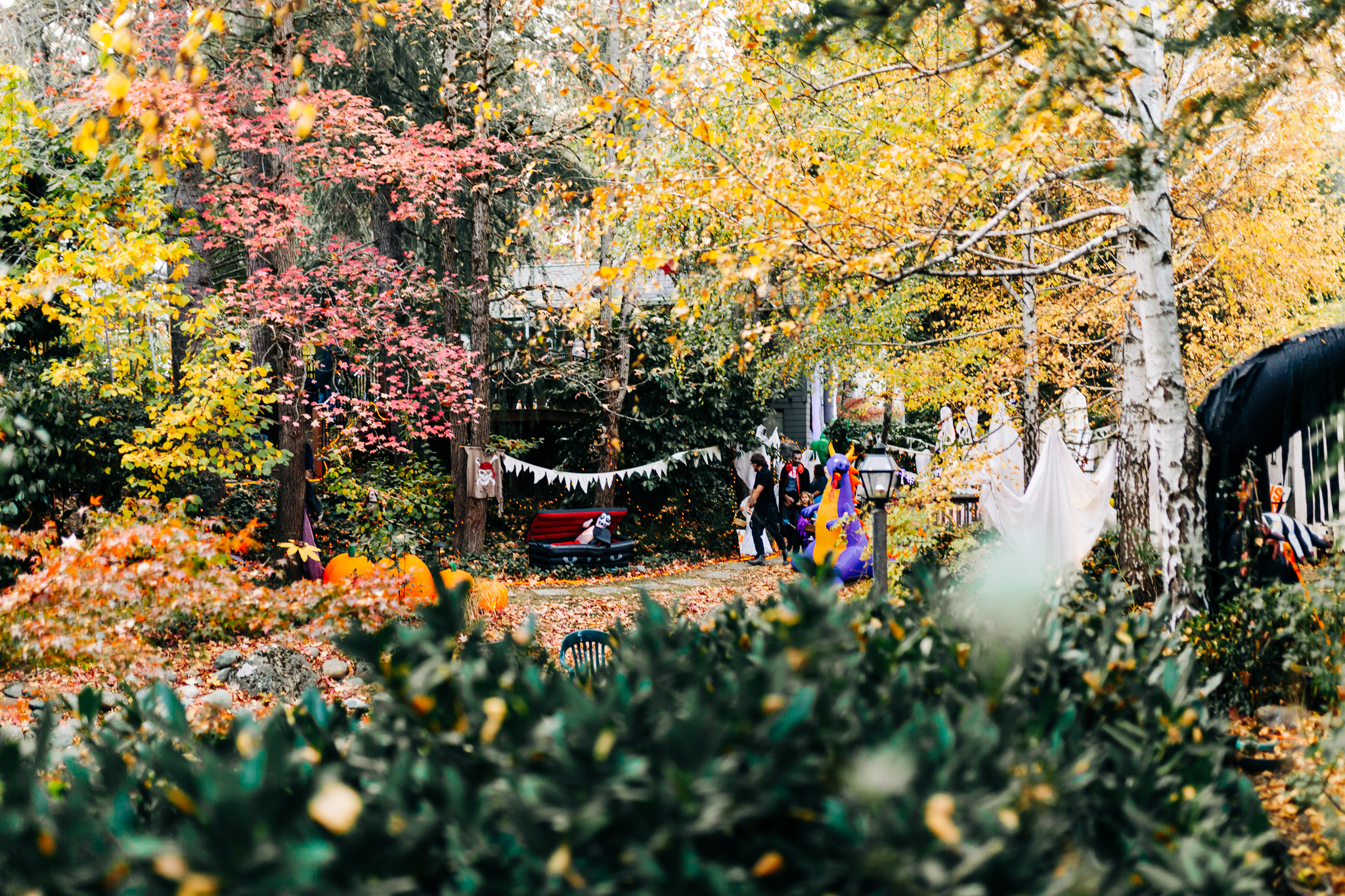 Nevada City Halloween | Lenkaland Photography