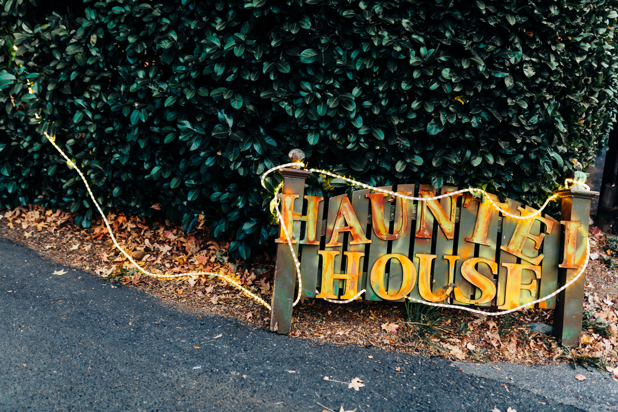 Nevada City Halloween | Lenkaland Photography