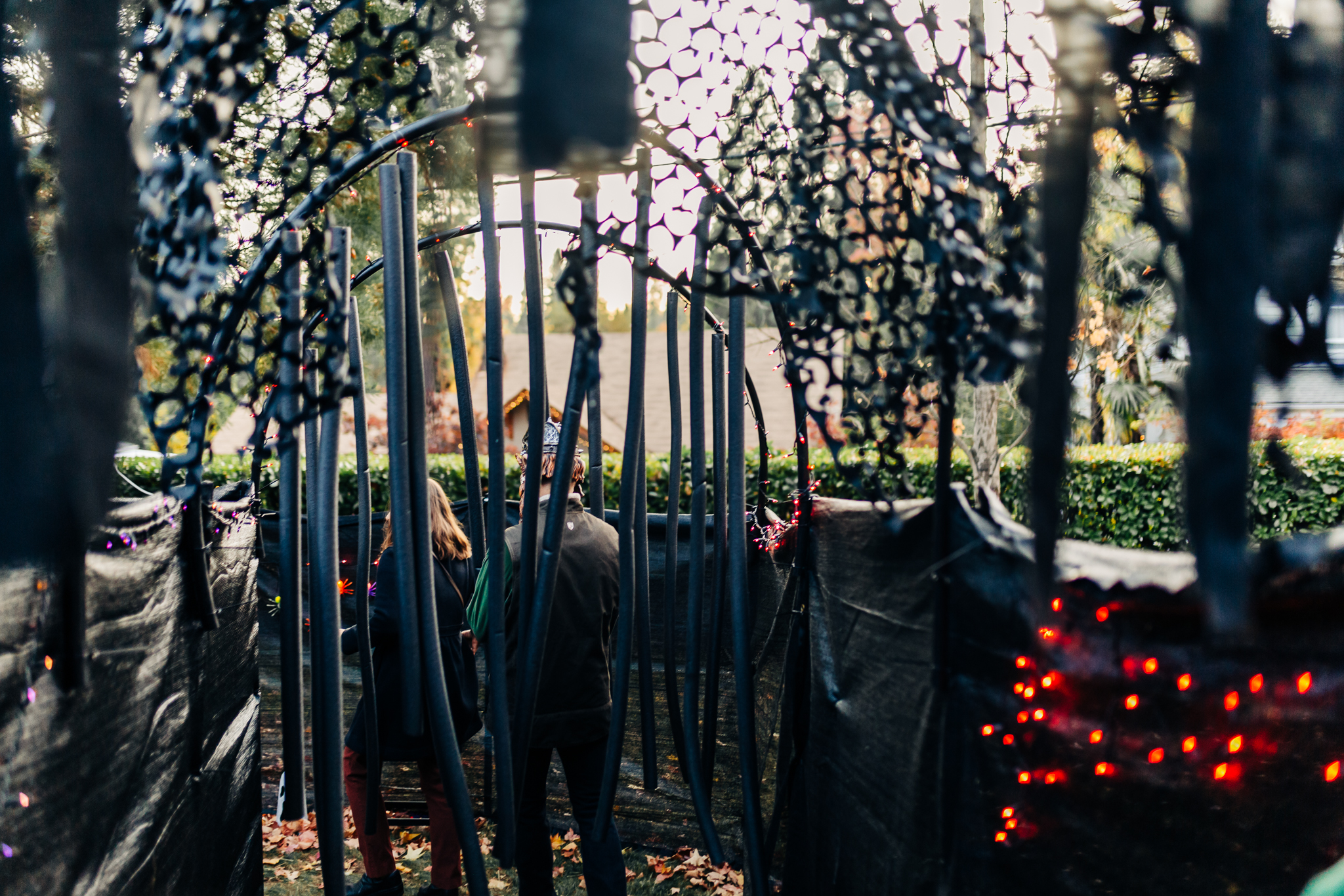 Nevada City Halloween | Lenkaland Photography
