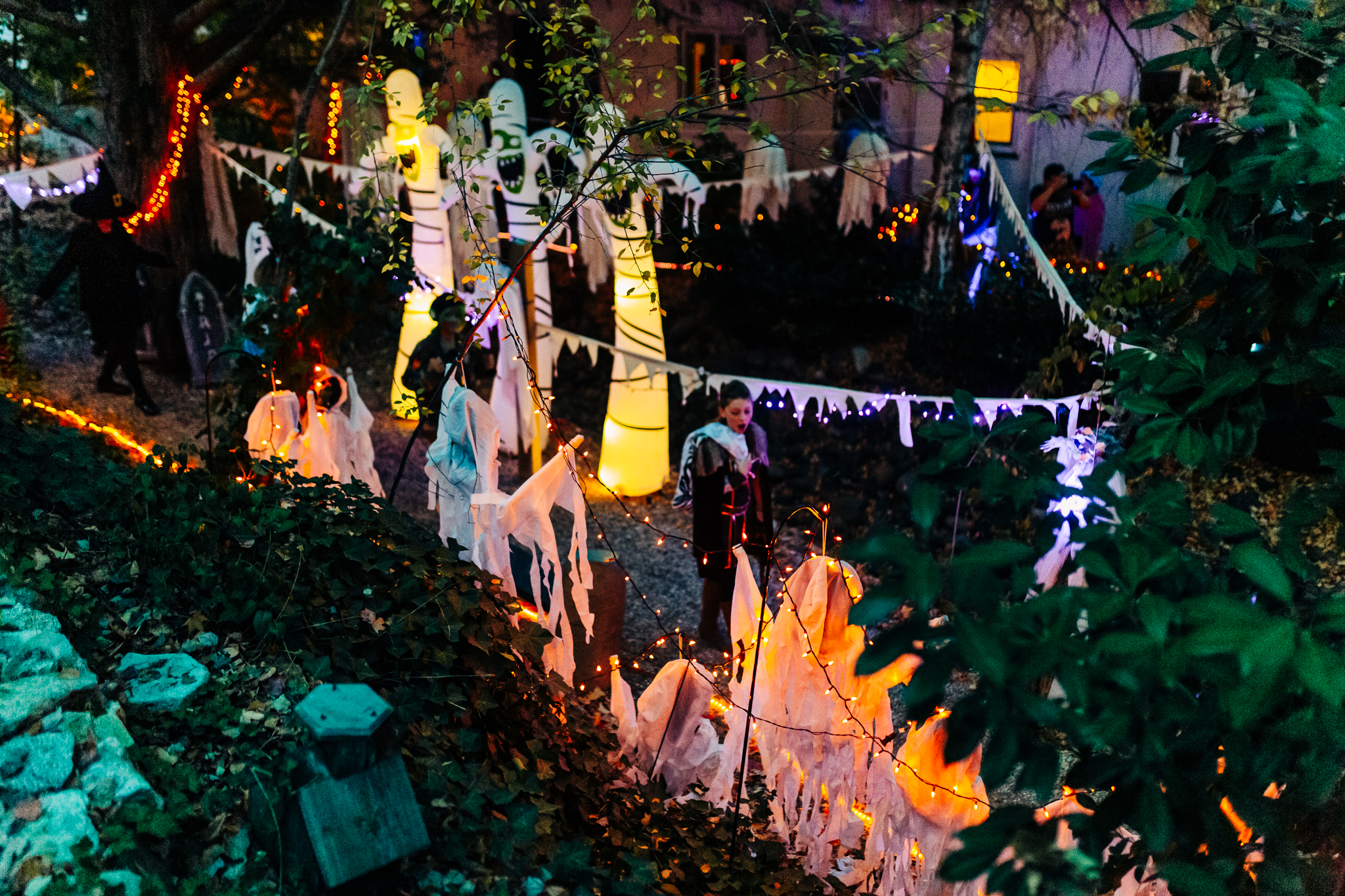 Nevada City Halloween | Lenkaland Photography