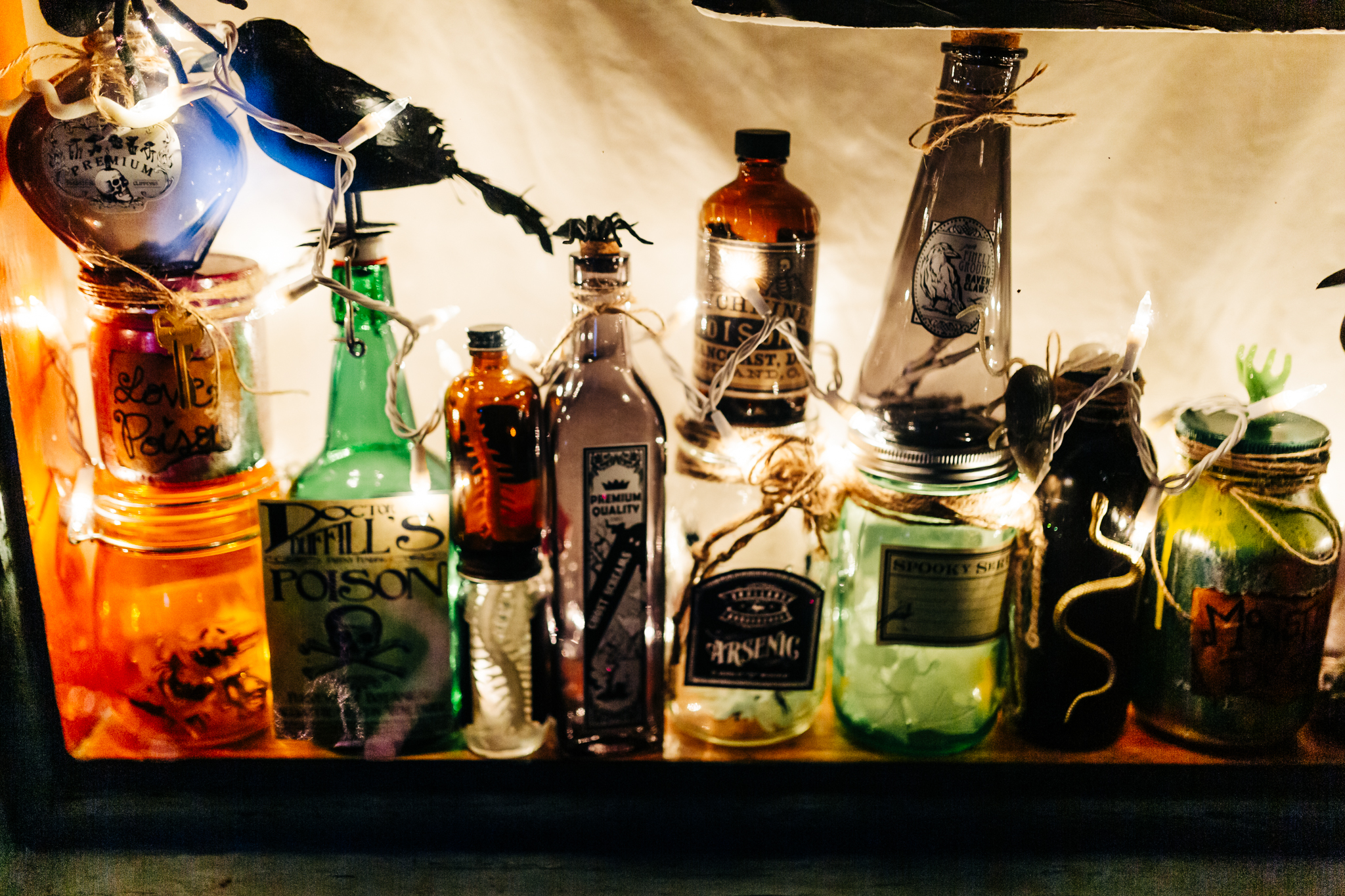 Nevada City Halloween | Lenkaland Photography