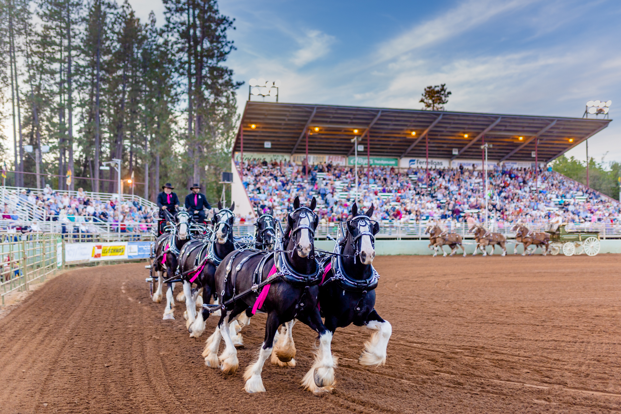 Draft Horse Classic at the Nevada County Fairgrounds | Lenkaland