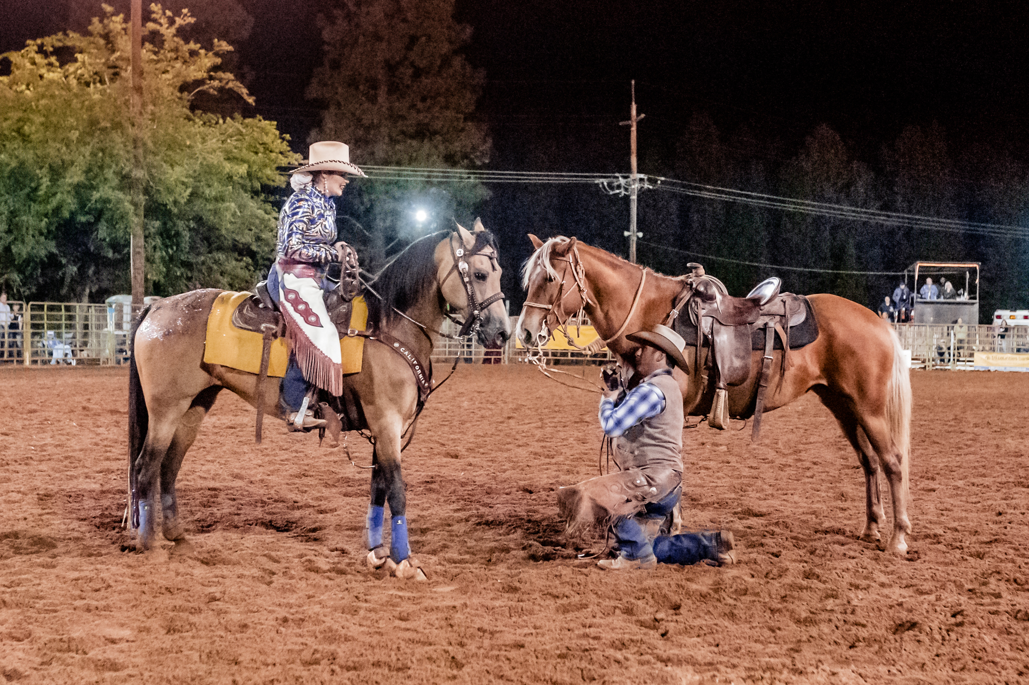 California Cowgirls at the Draft Horse Classic at the Nevada Cou