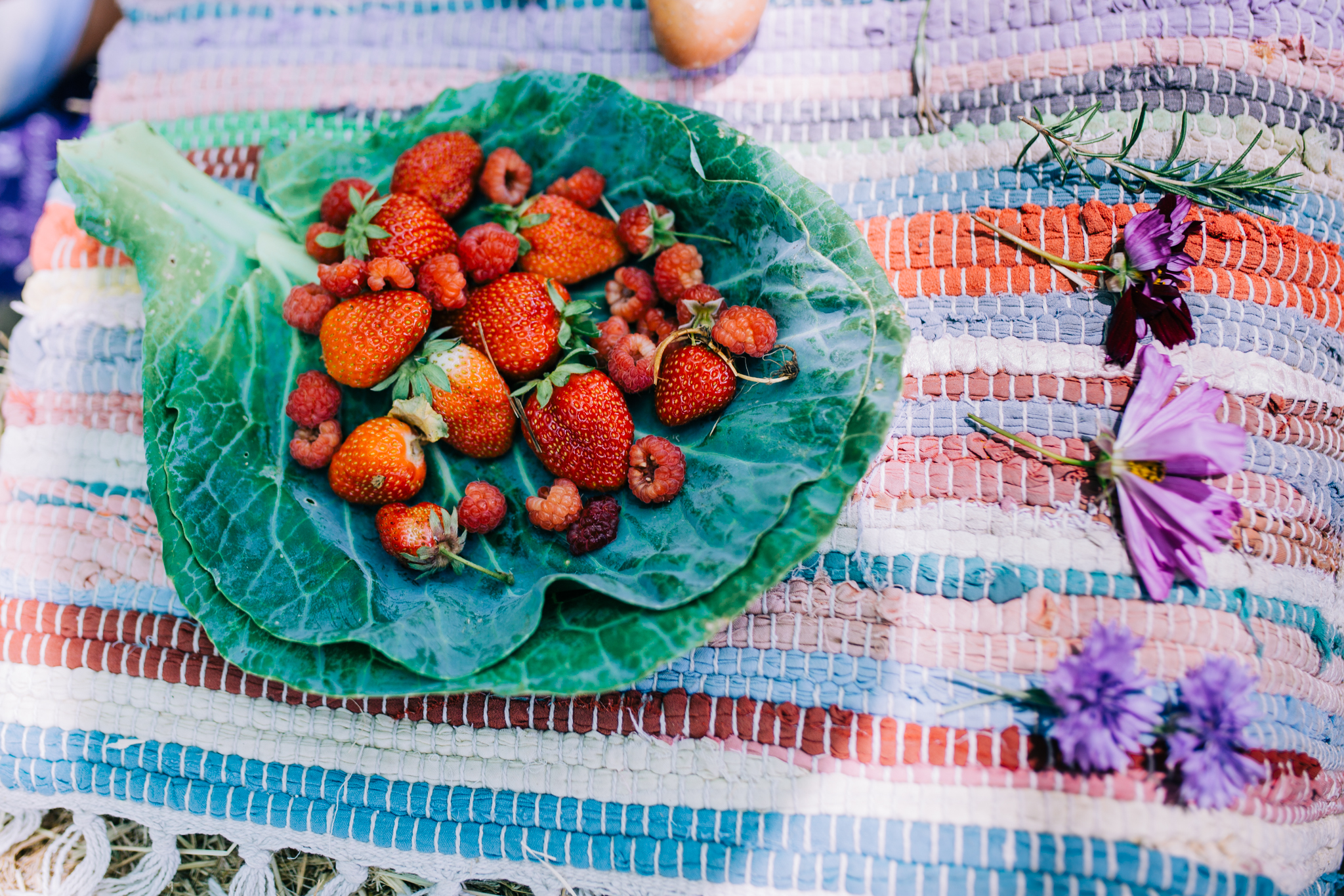lower | Sierra Harvest and the Food Love Farm: Where Children Grow Food and Flowers | Lenkaland Photography at Sierra Harvest Farm Camp