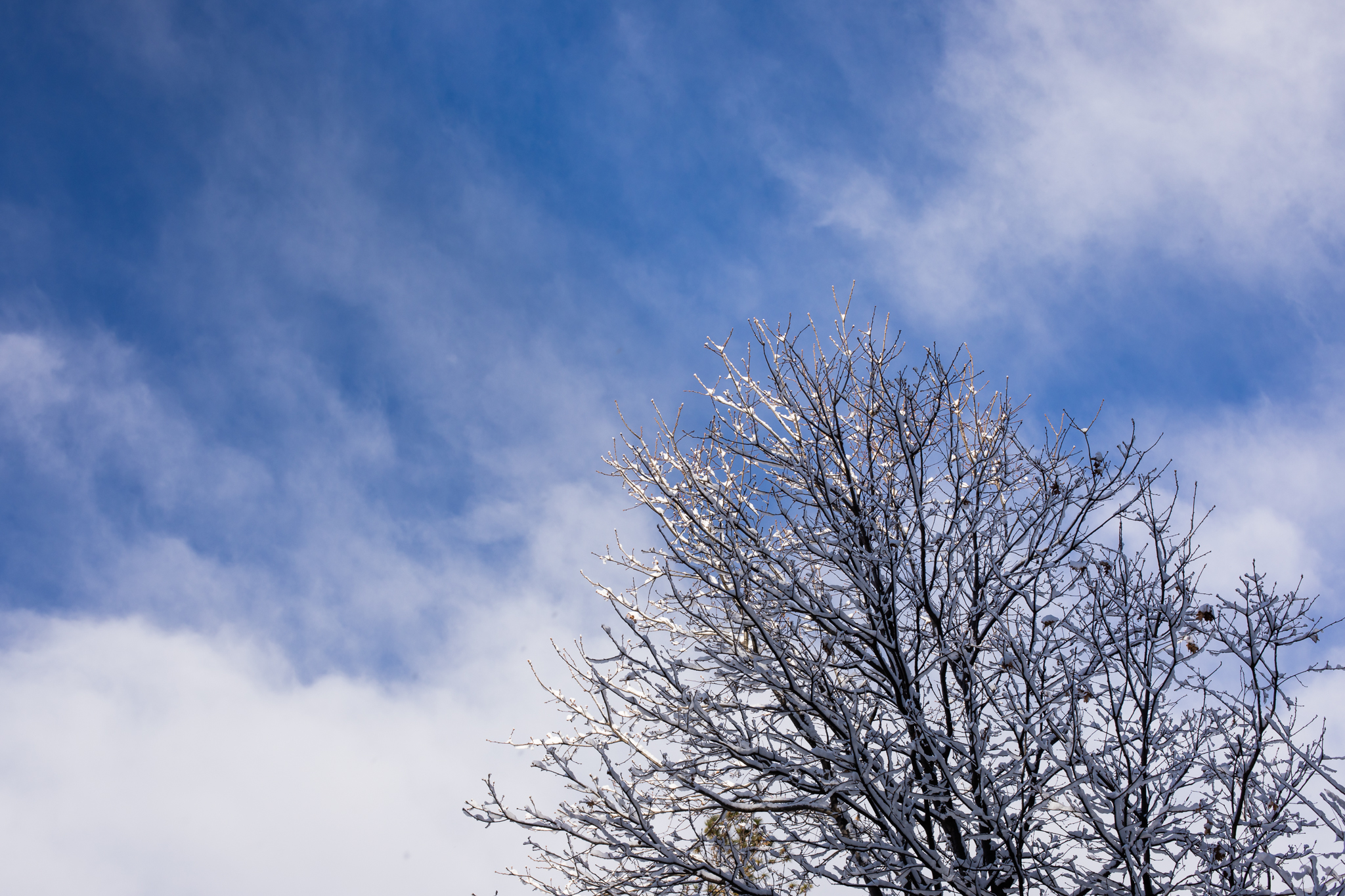 Snow | Lenkaland Photography