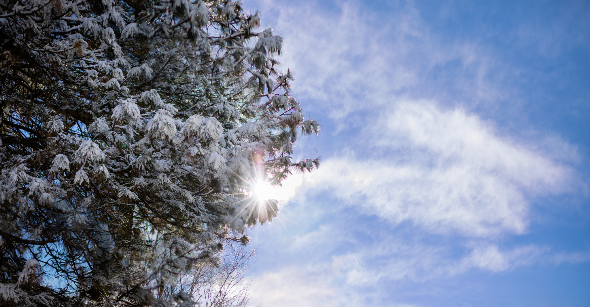 Snow | Lenkaland Photography
