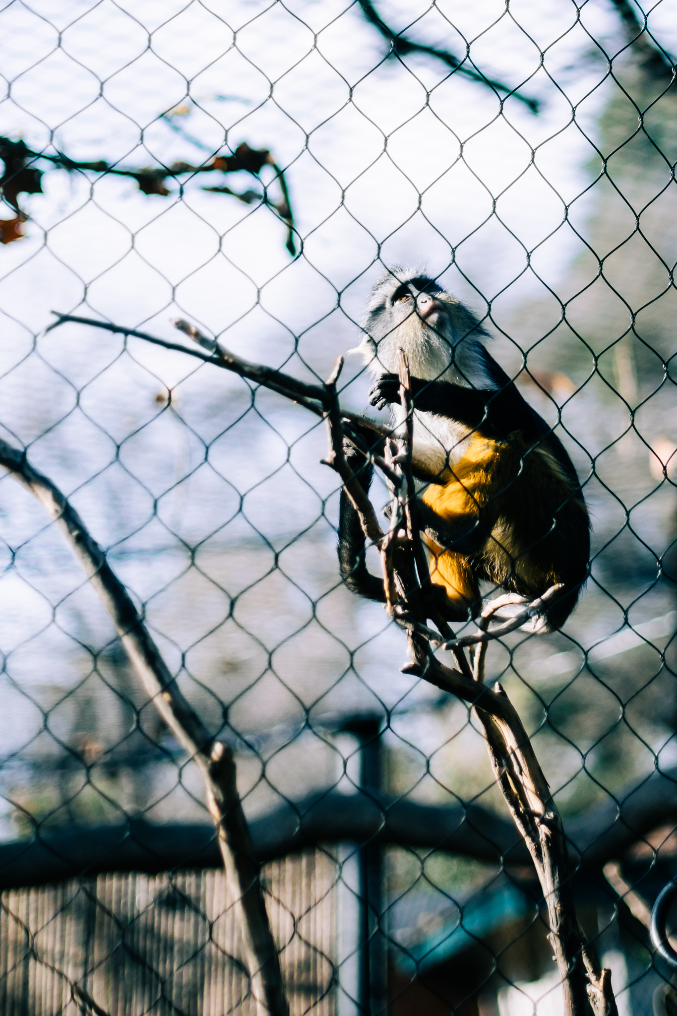 Sacramento Zoo by Lenkaland Photography