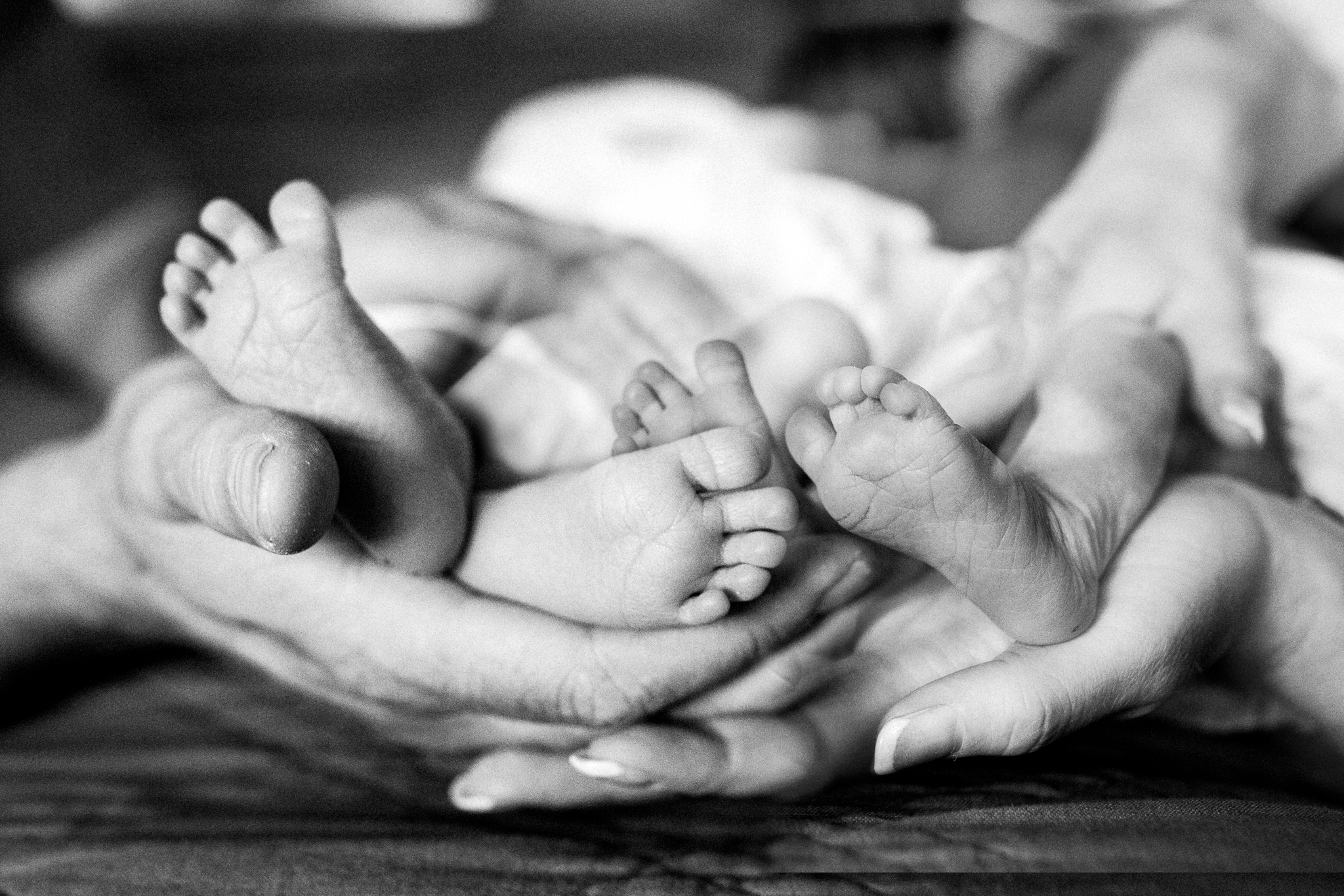 Newborn Baby Twins | Lenkaland Photography