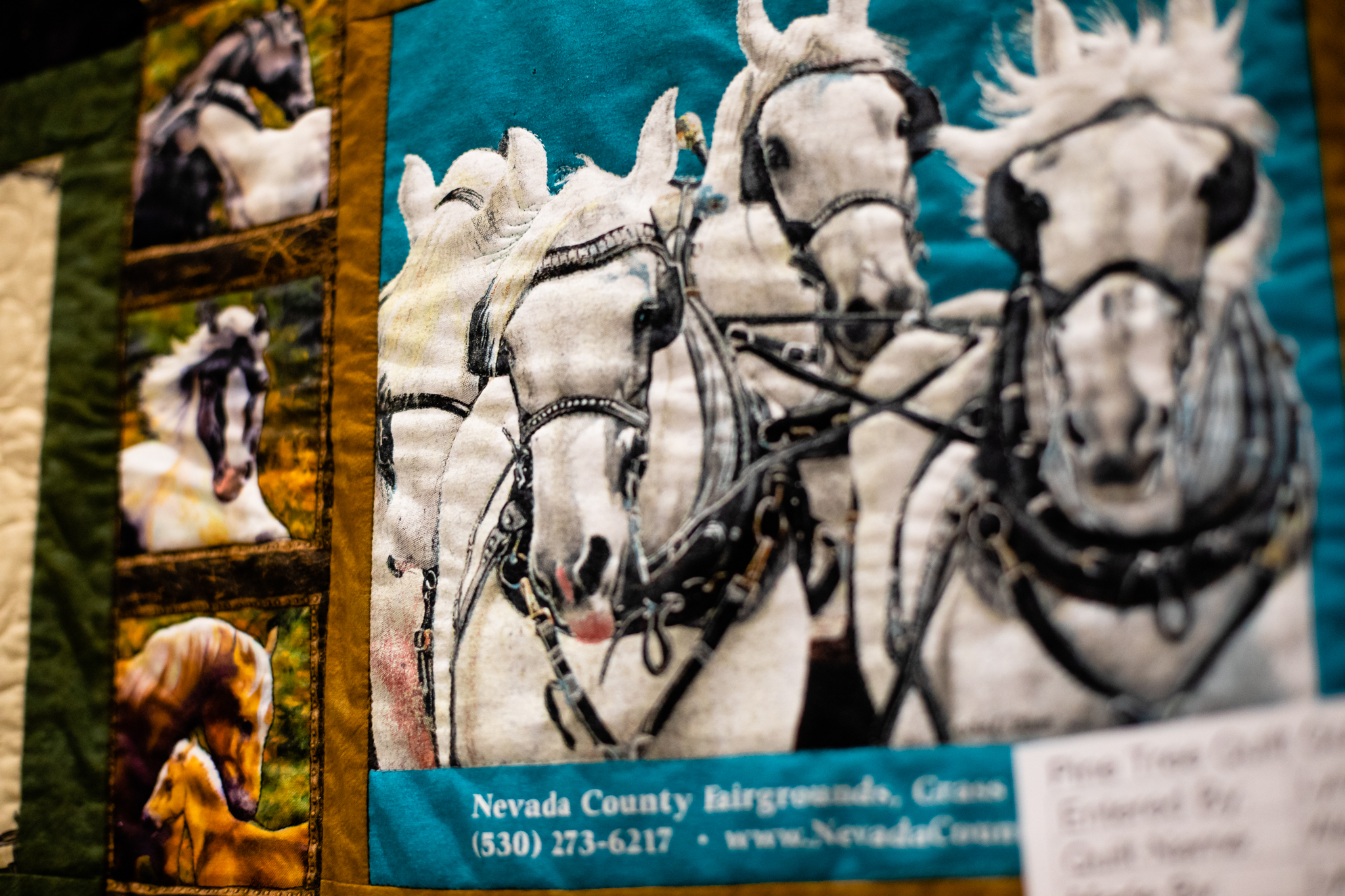 Pine Tree Quilt Show at the Nevada County Fairgrounds | Pine Tre