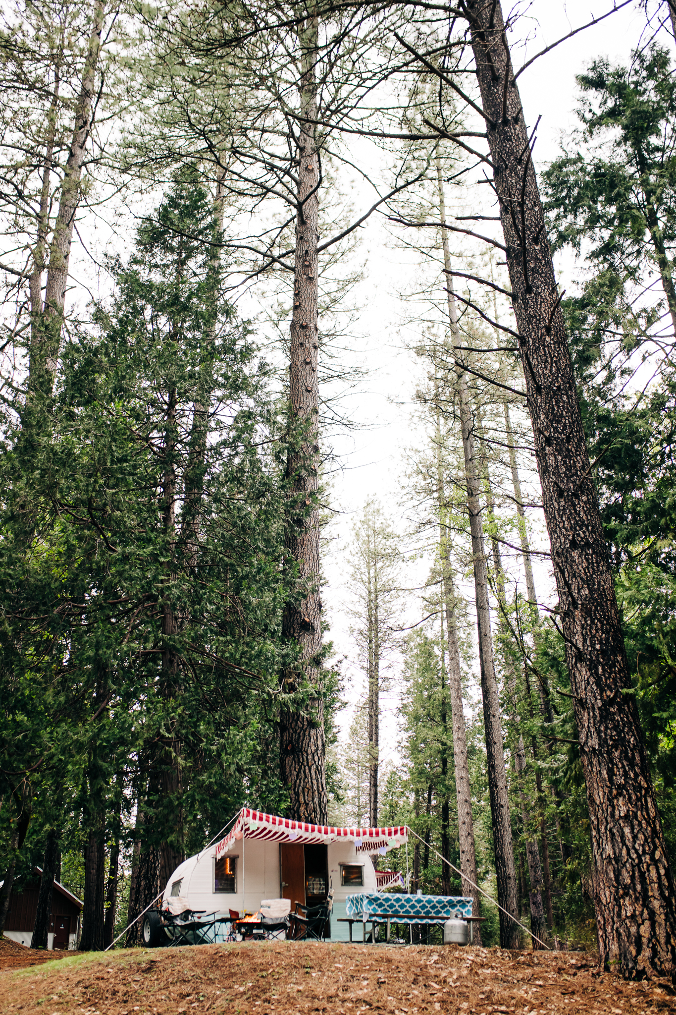 PhotoWalk at the Inn Town Campground with Nevada City Scenics | 