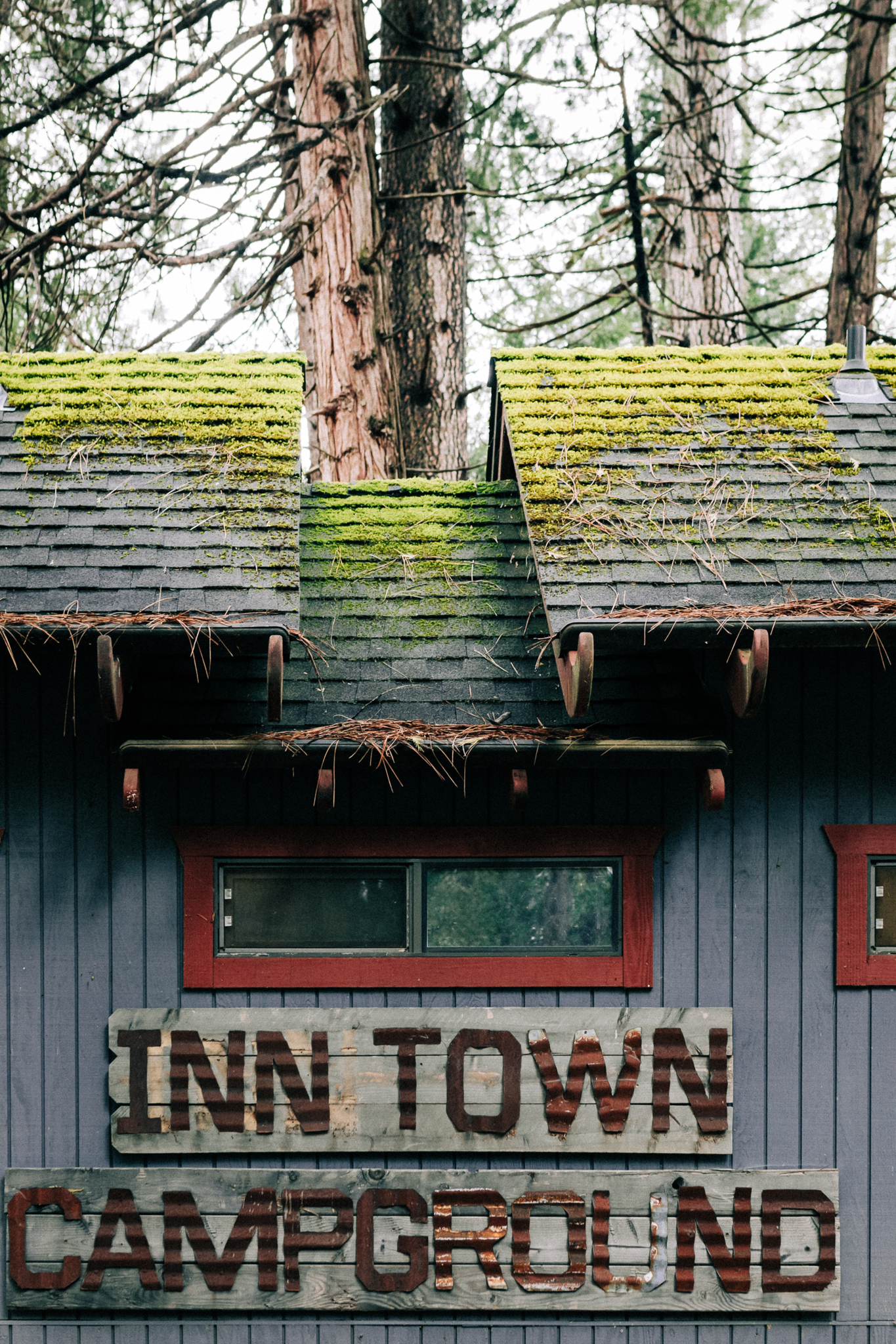 PhotoWalk at the Inn Town Campground with Nevada City Scenics | 