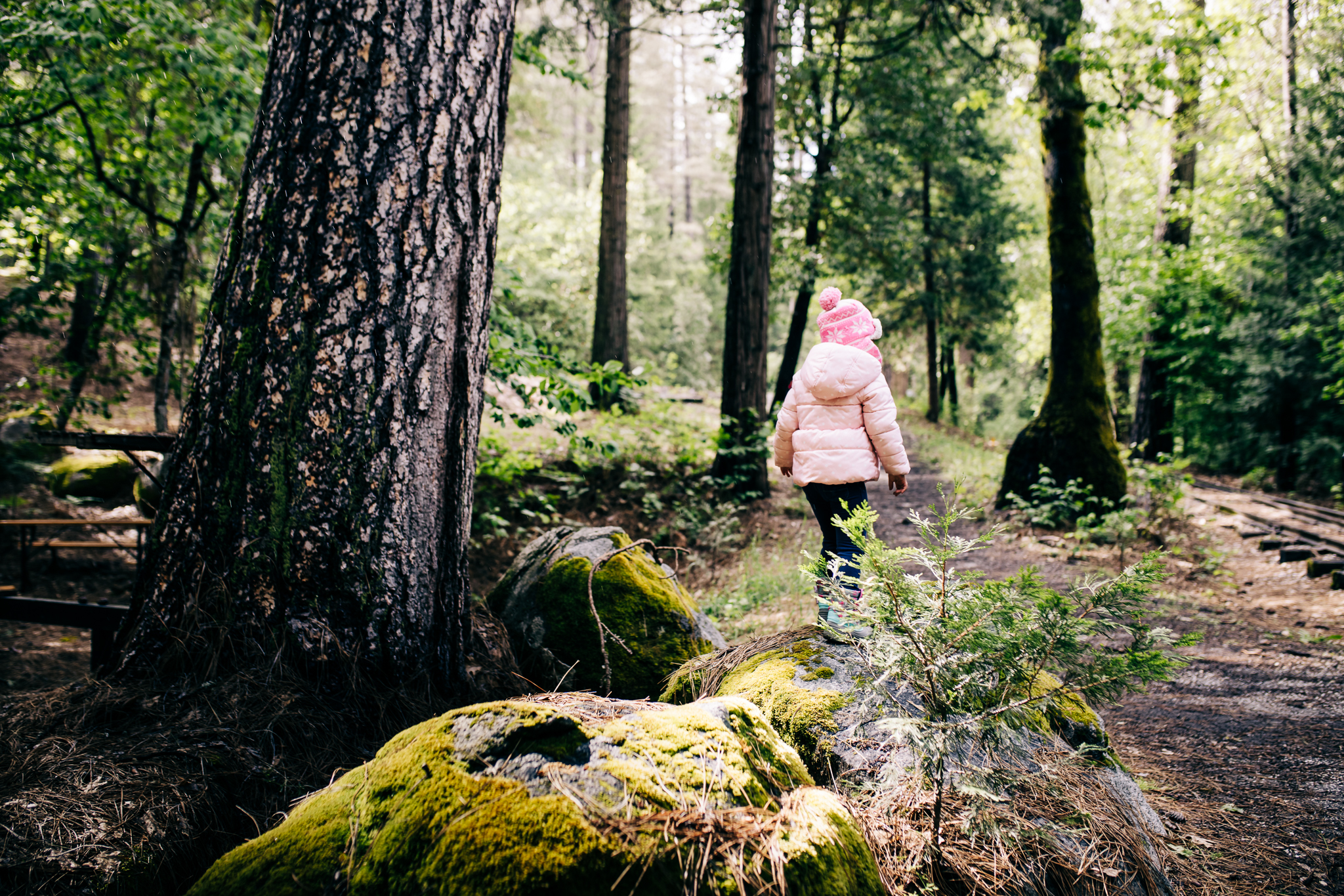 PhotoWalk at the Inn Town Campground with Nevada City Scenics | 