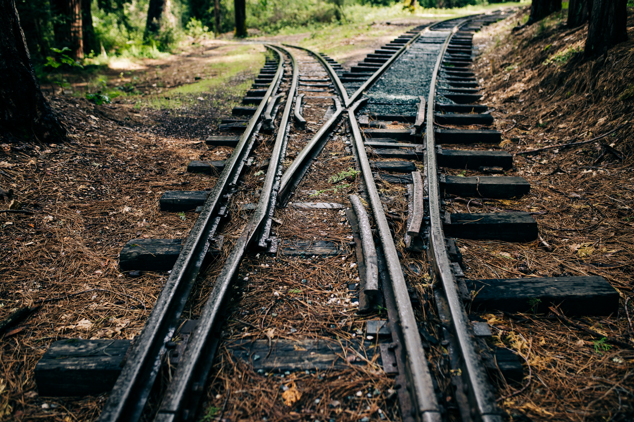 PhotoWalk at the Inn Town Campground with Nevada City Scenics | 