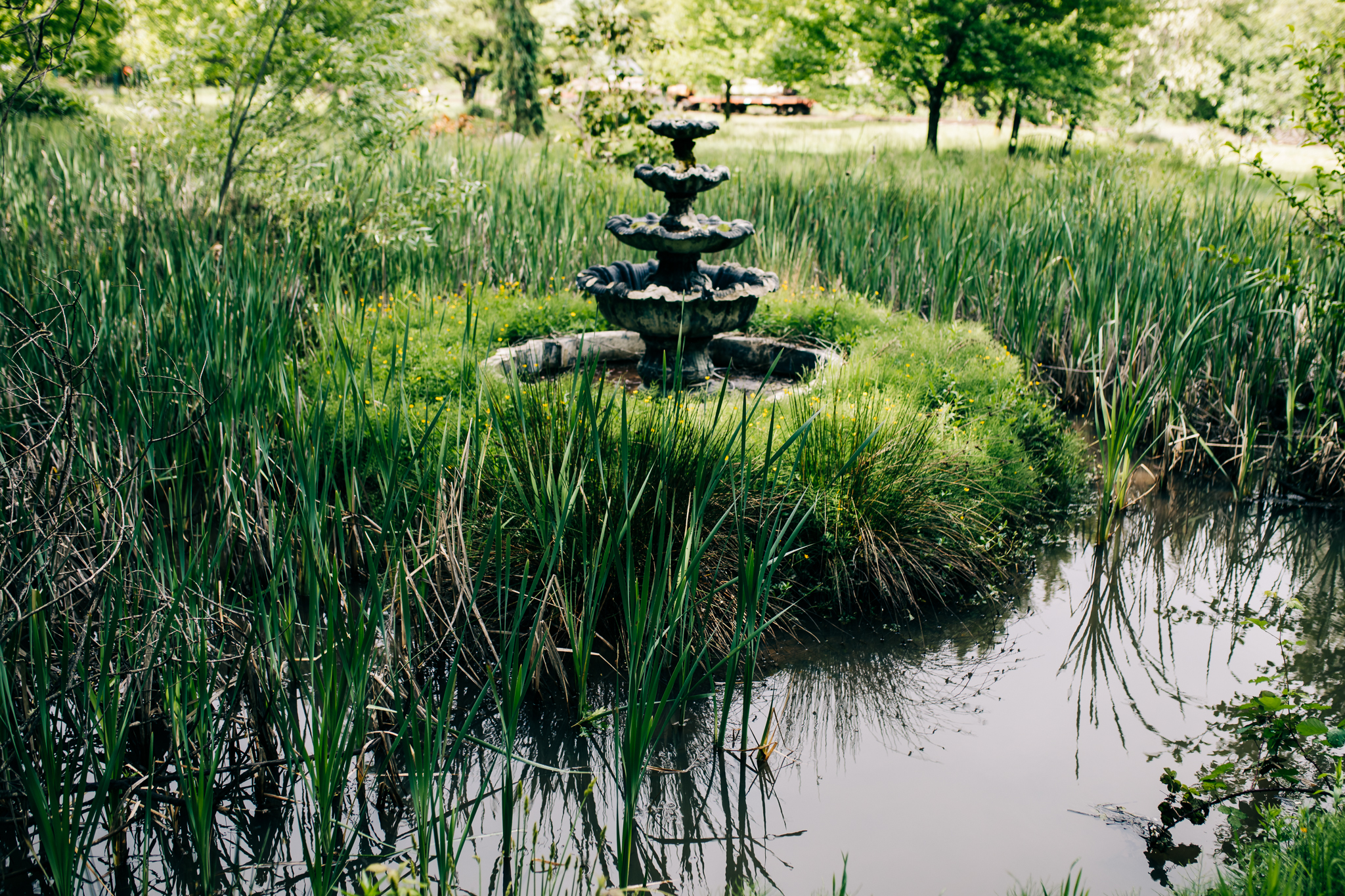 PhotoWalk at the Inn Town Campground with Nevada City Scenics |