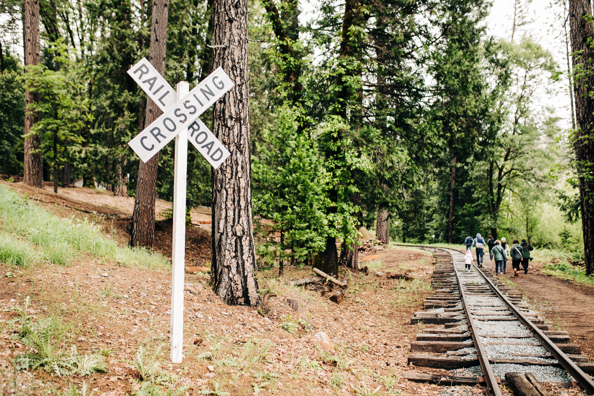 PhotoWalk at the Inn Town Campground with Nevada City Scenics | 