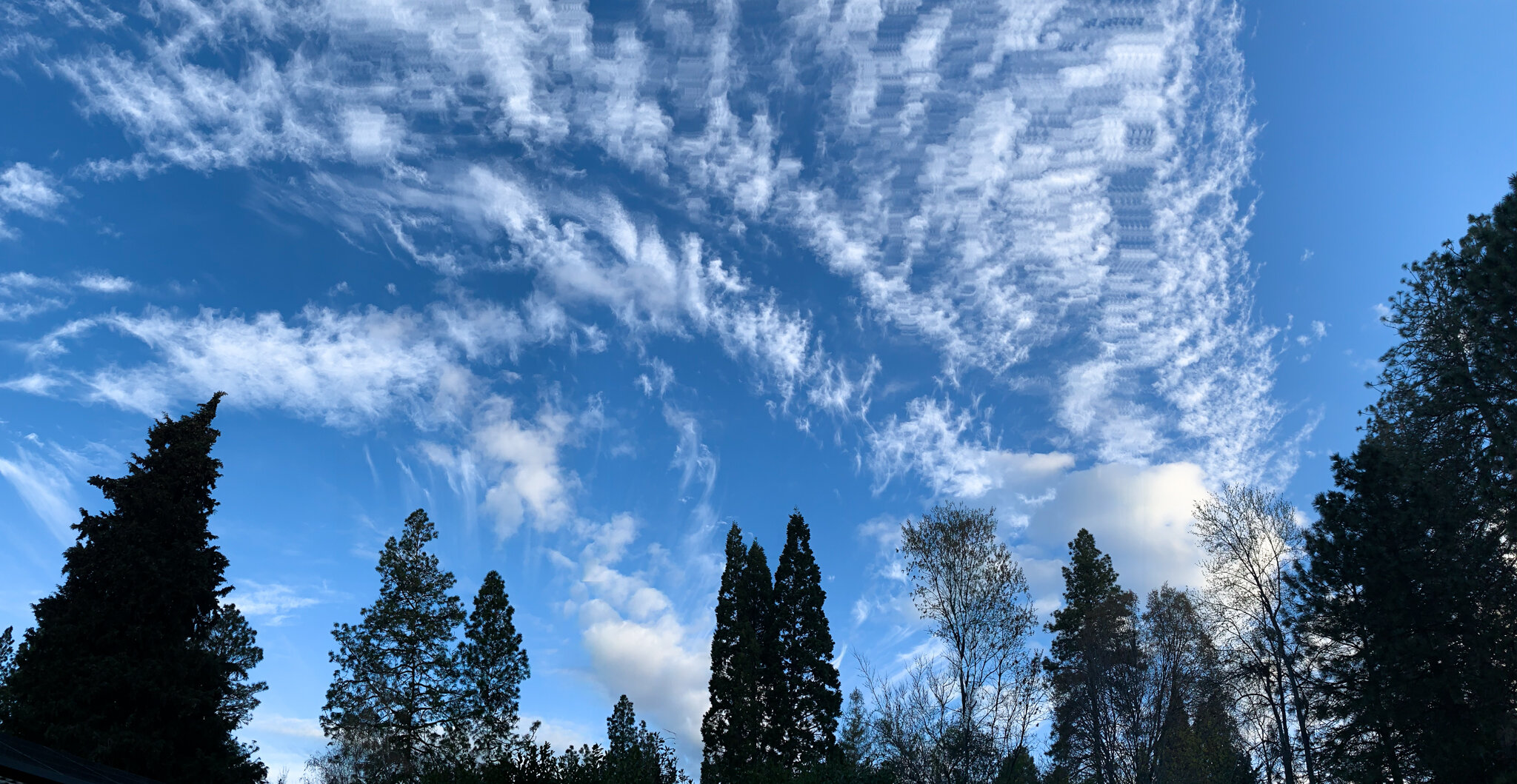  Blue sky with sweeping clouds in the forest by Lenka Vodicka Lenkaland 