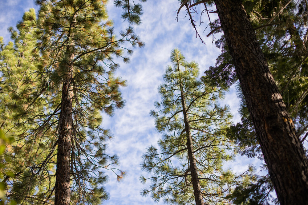 Lake Tahoe by Lenka Vodicka of Lenkaland Photography