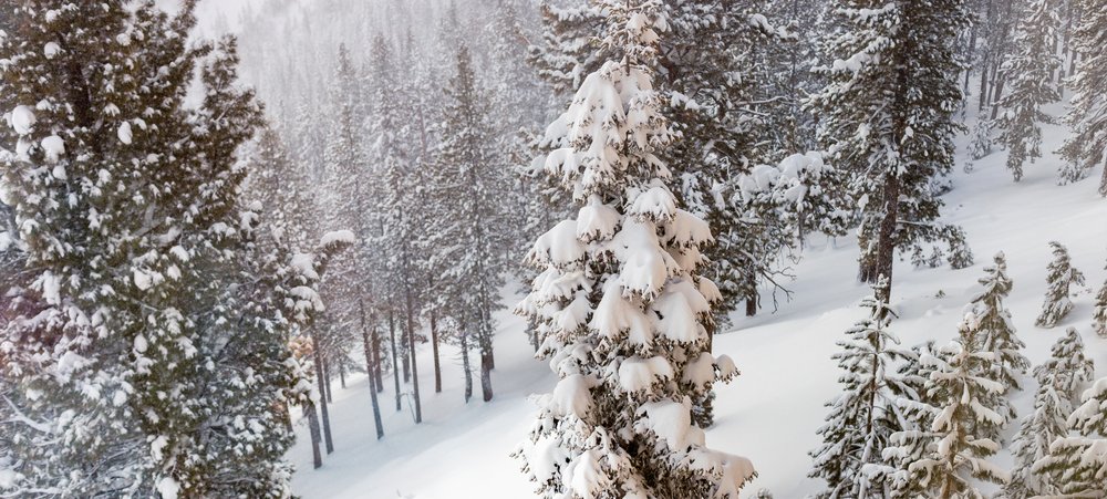 Winter at Lake Tahoe Photograph by Lenka Vodicka of Lenkaland Photography