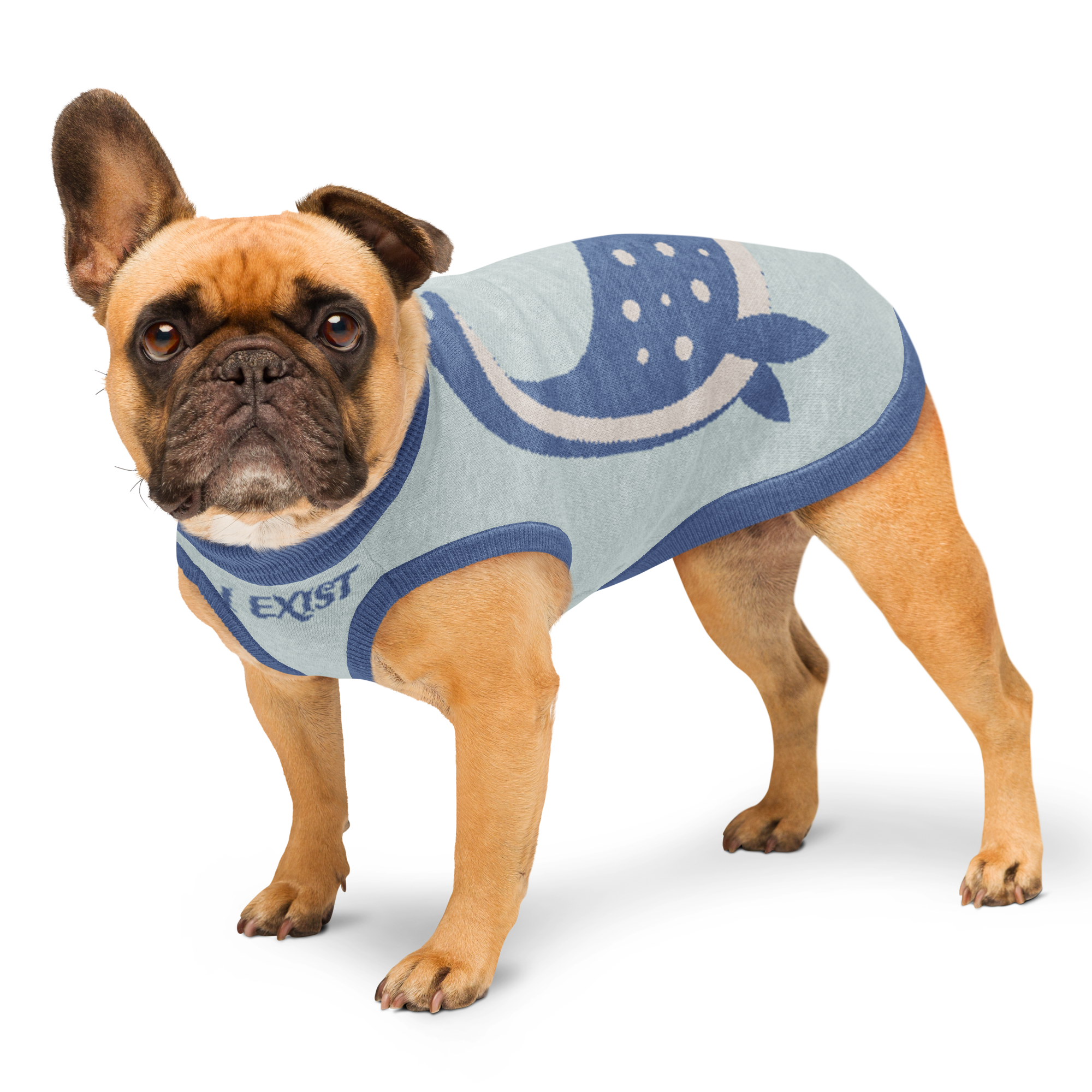 Your Pet Exists Too! Plesiosaur Knitted Pet Sweater