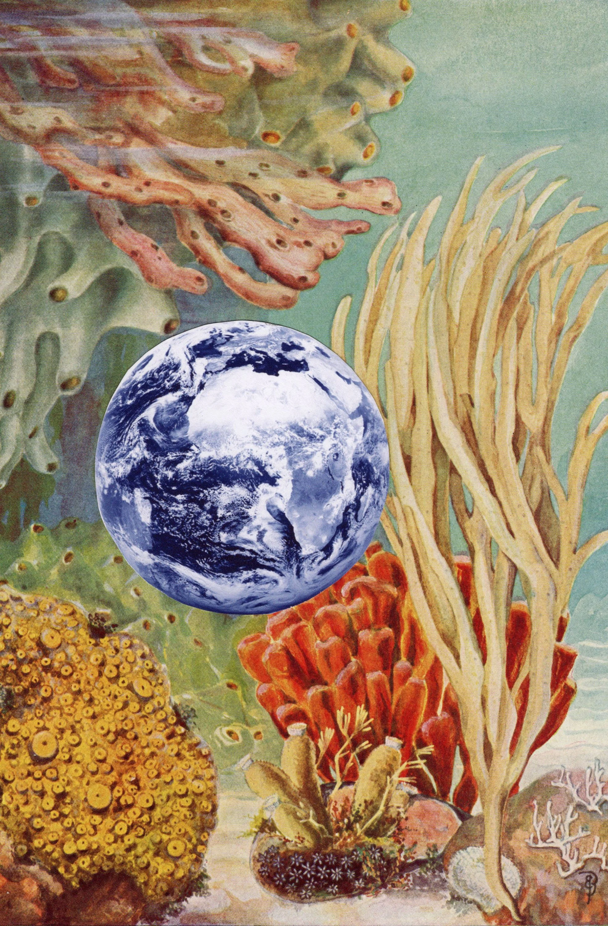 Santoro_book_of_fishes_earth_sponges_cropped_med.jpg